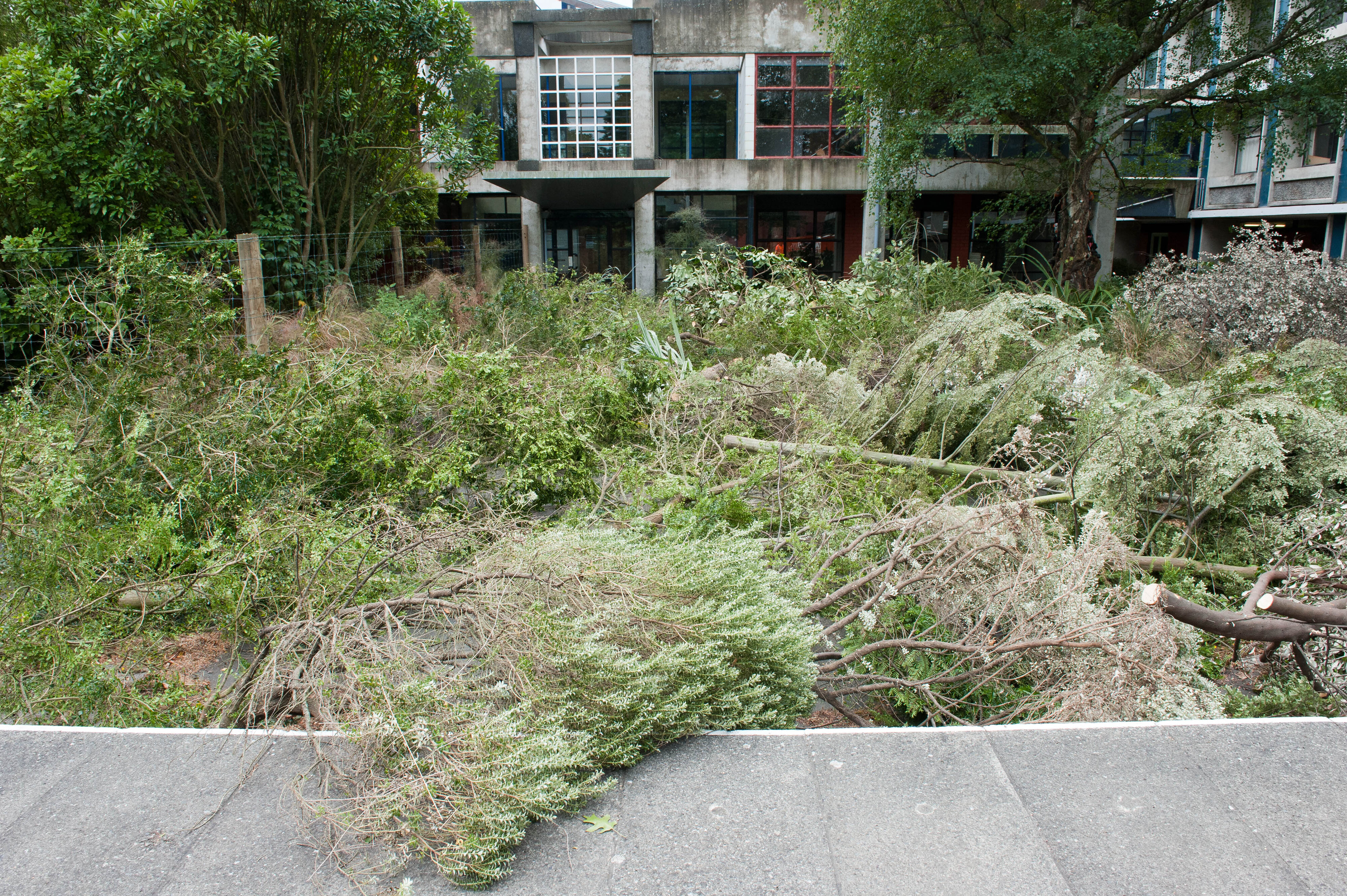 Hilgendorf Redevelopment 145