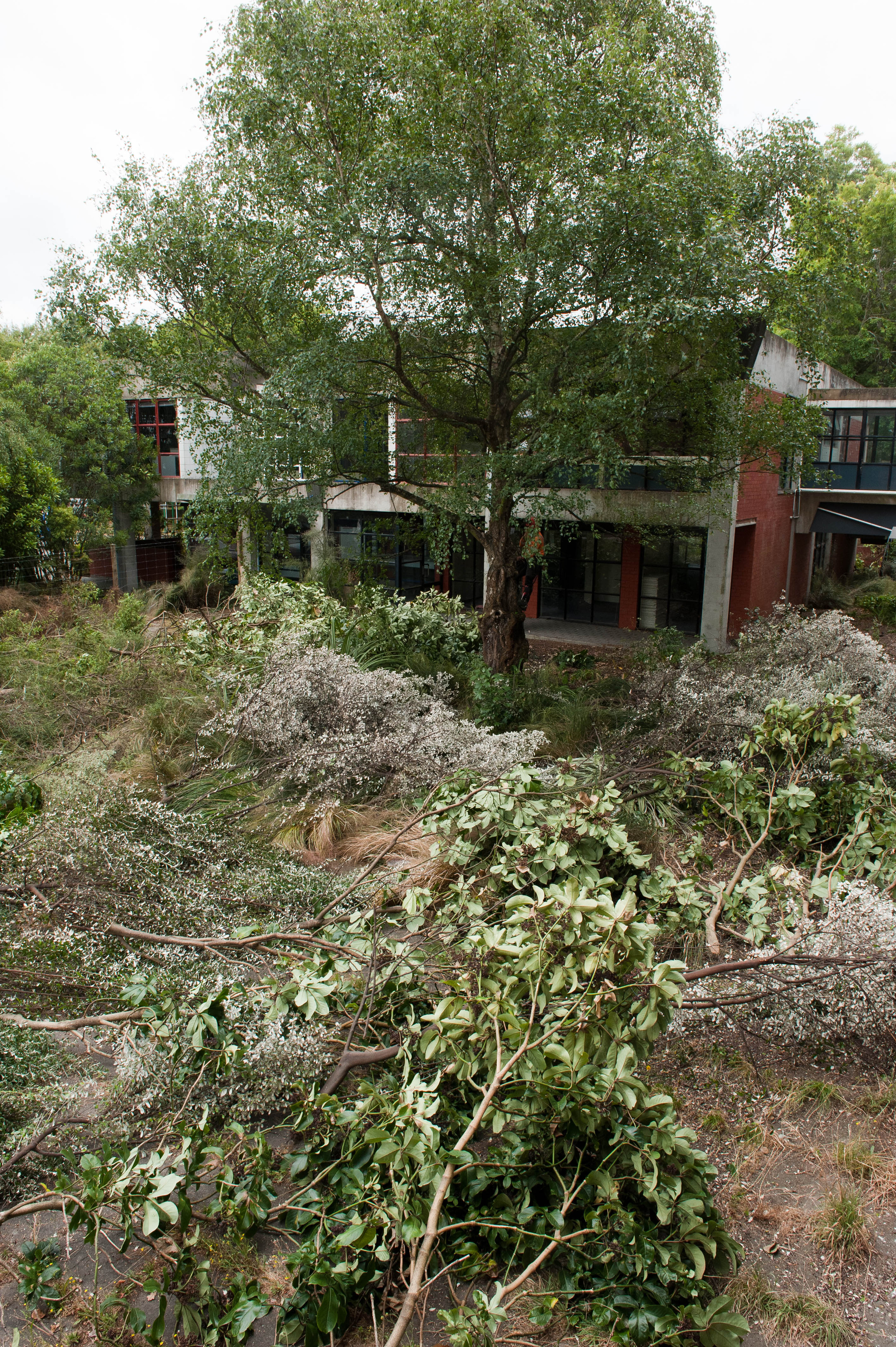 Hilgendorf Redevelopment 149