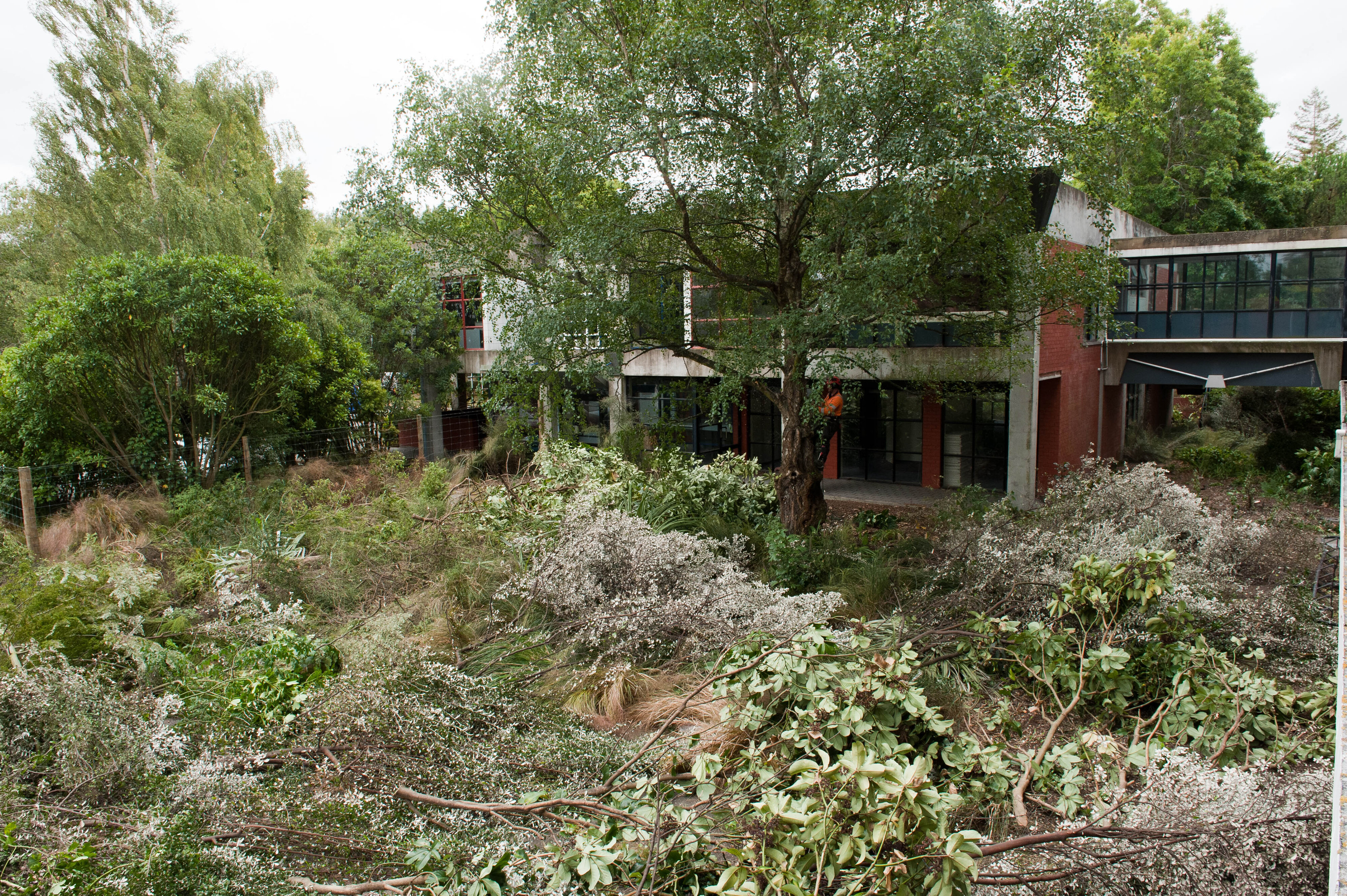 Hilgendorf Redevelopment 150