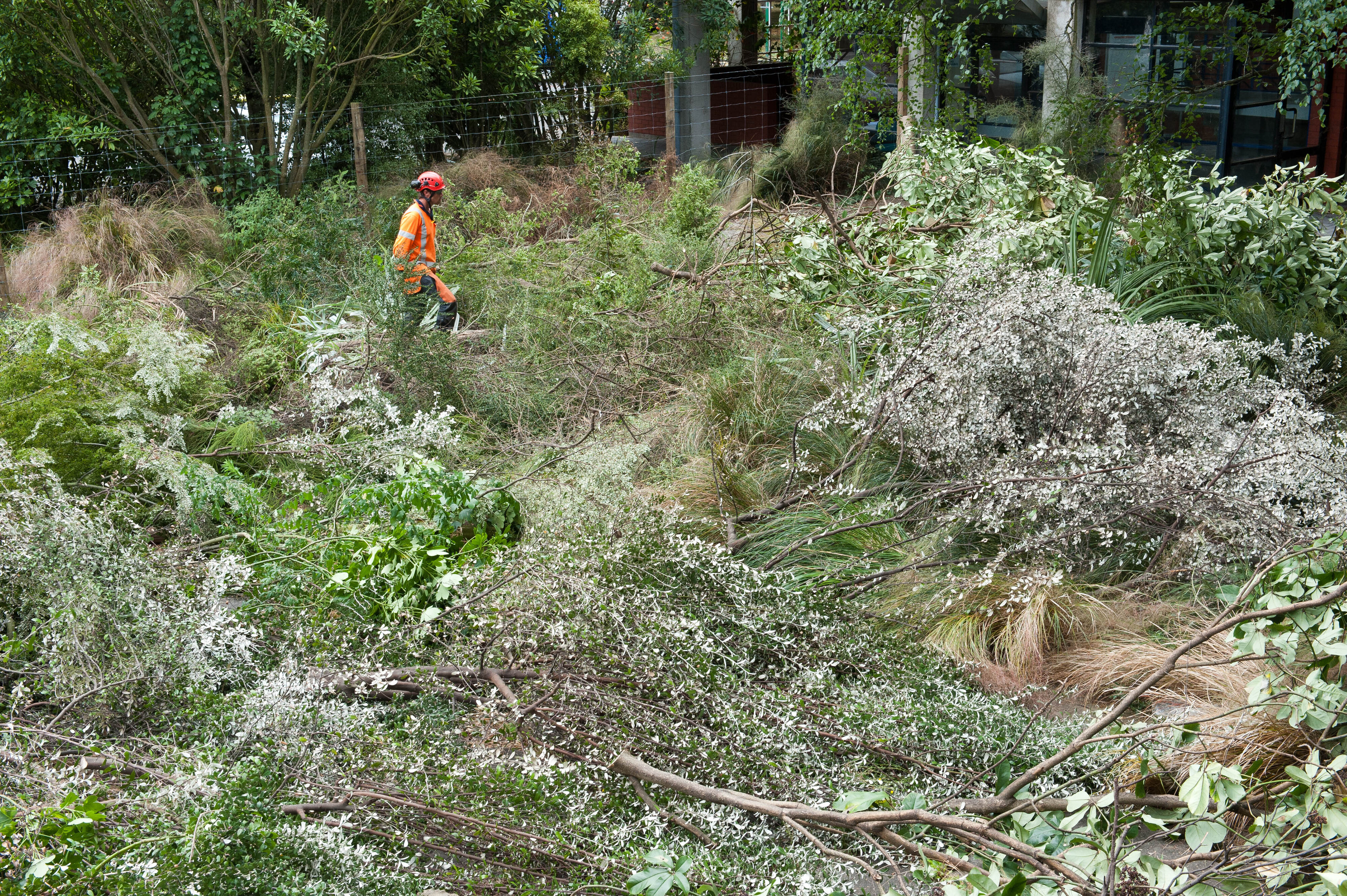 Hilgendorf Redevelopment 151