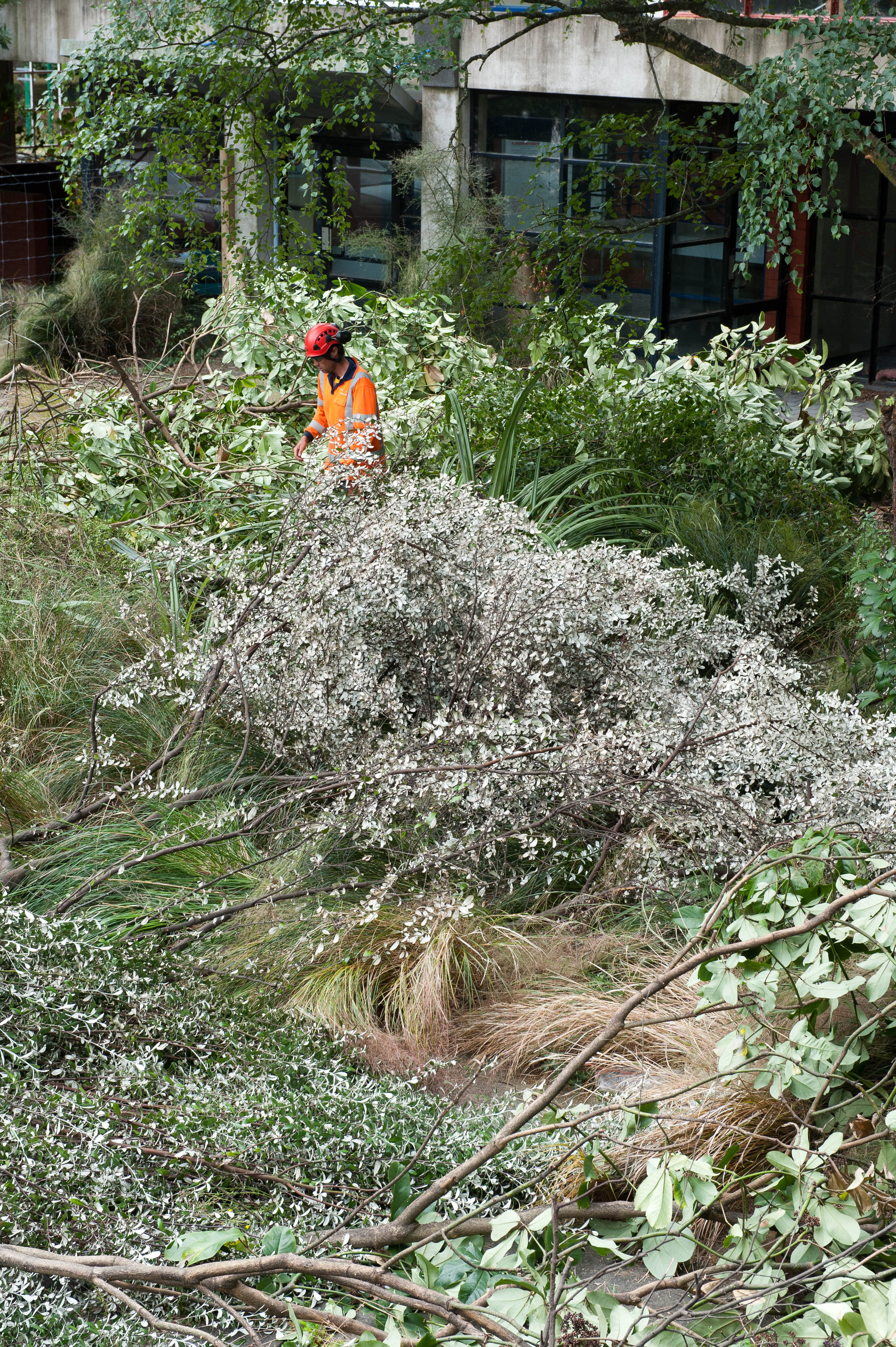 Hilgendorf Redevelopment 152
