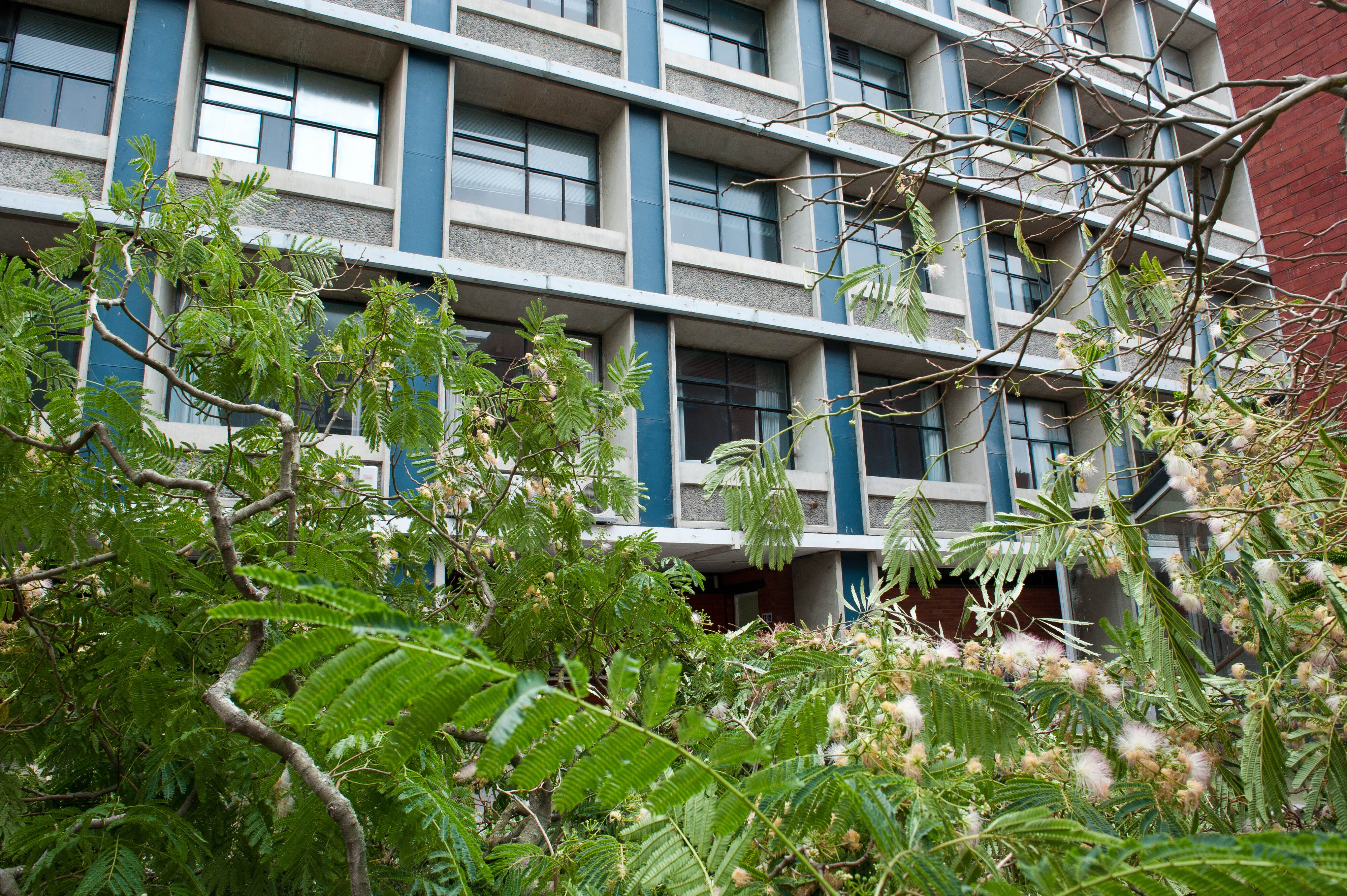 Hilgendorf Redevelopment 162