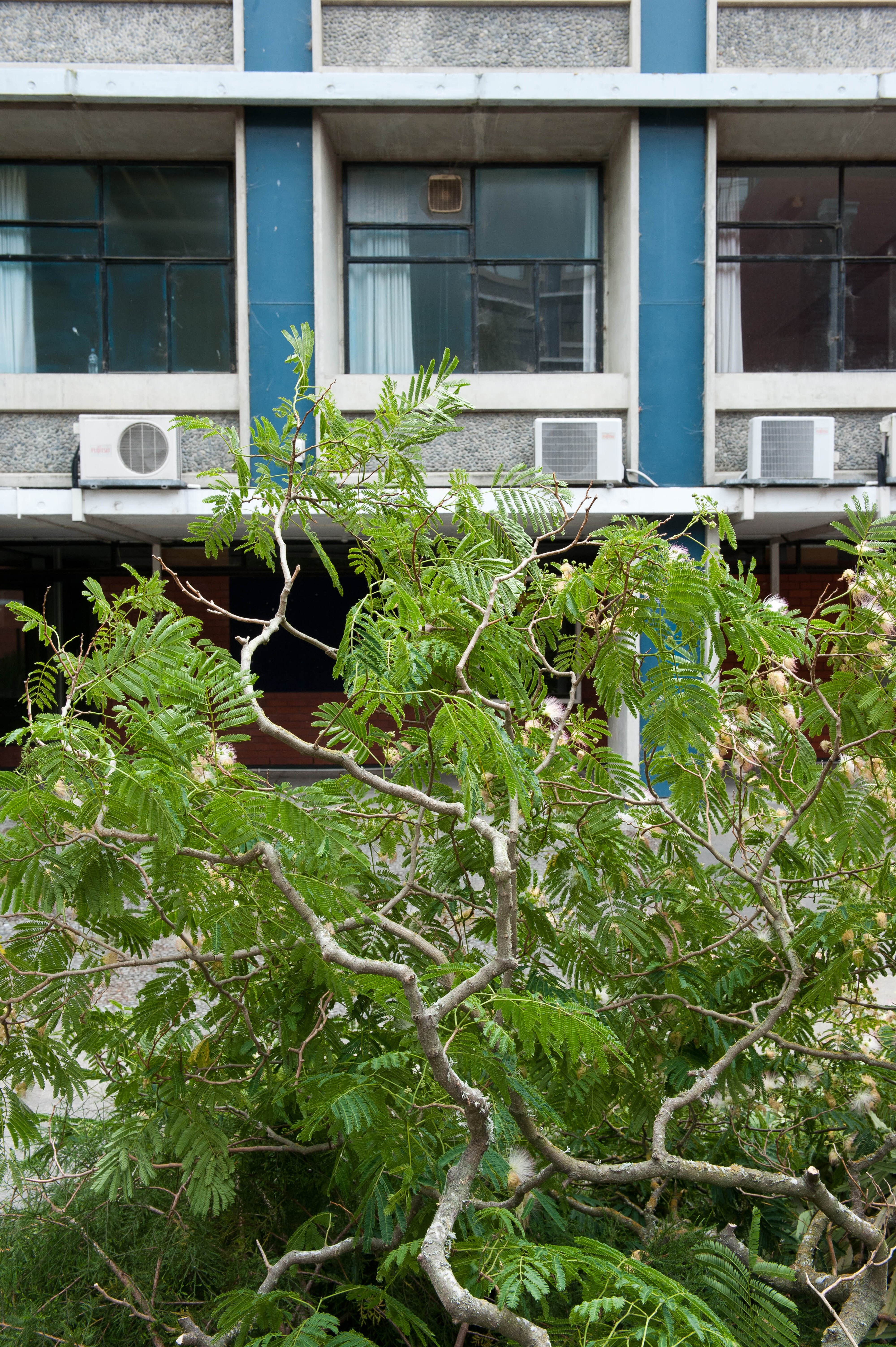 Hilgendorf Redevelopment 163