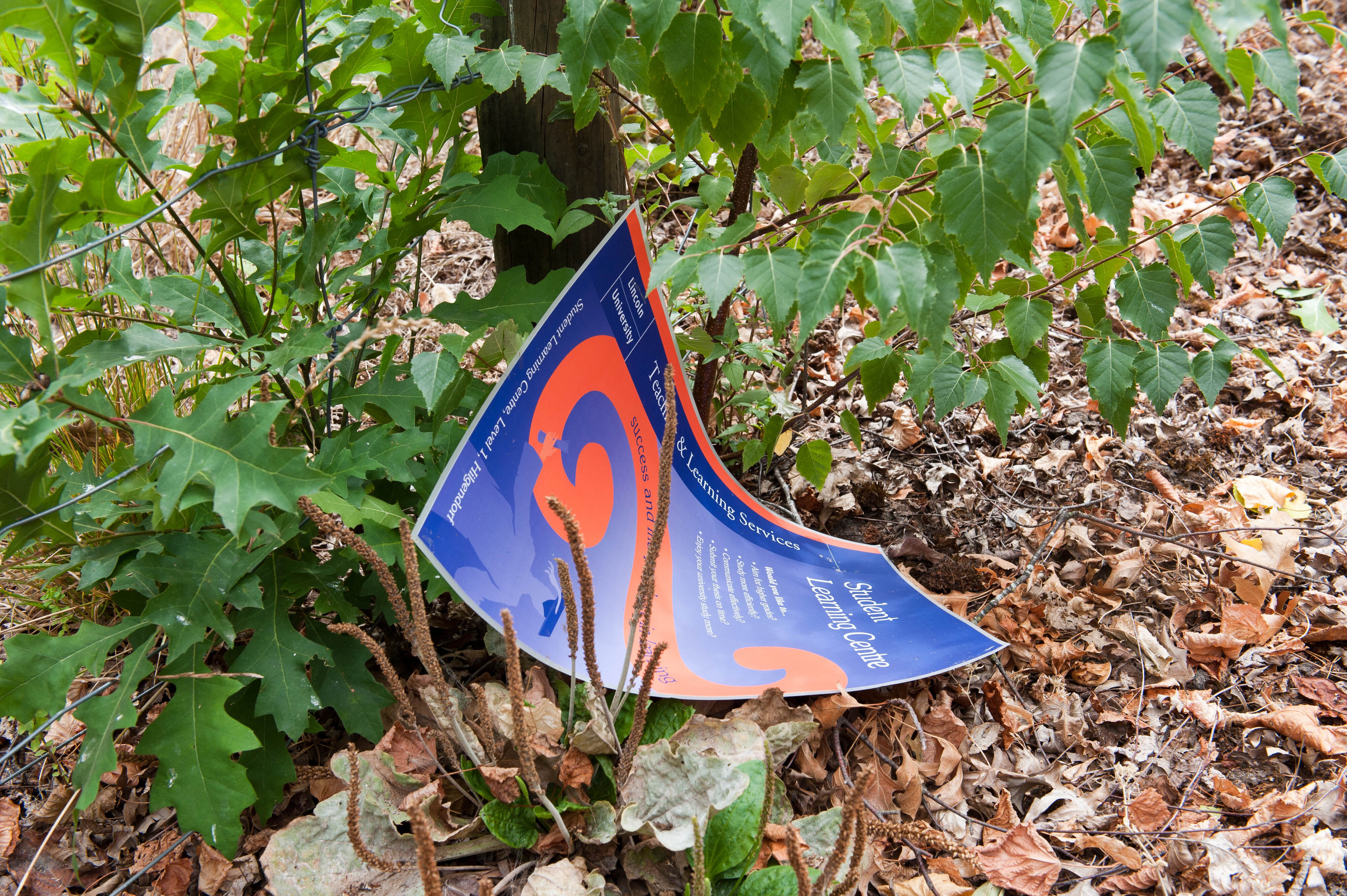 Hilgendorf Redevelopment 167