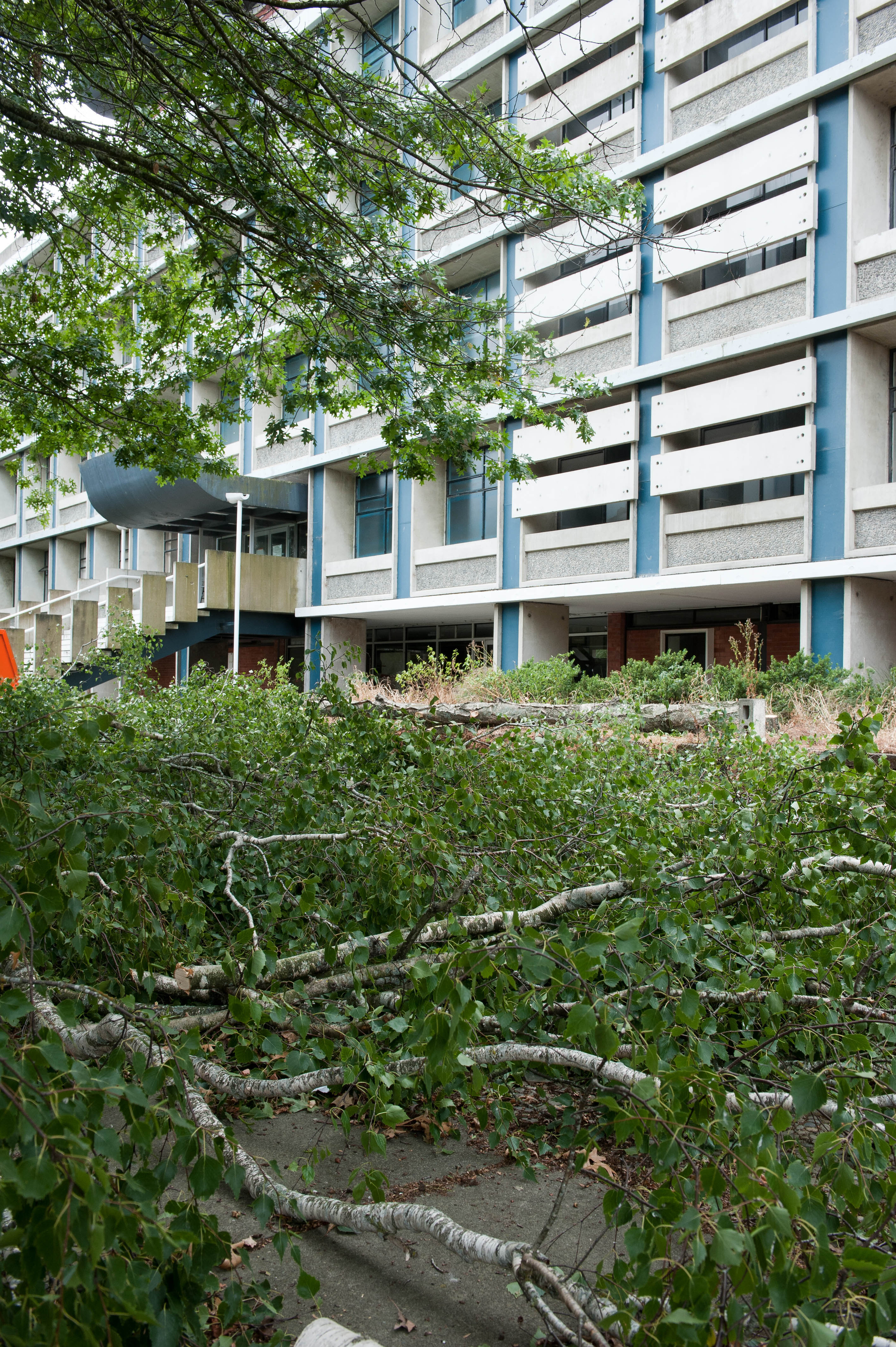 Hilgendorf Redevelopment 168