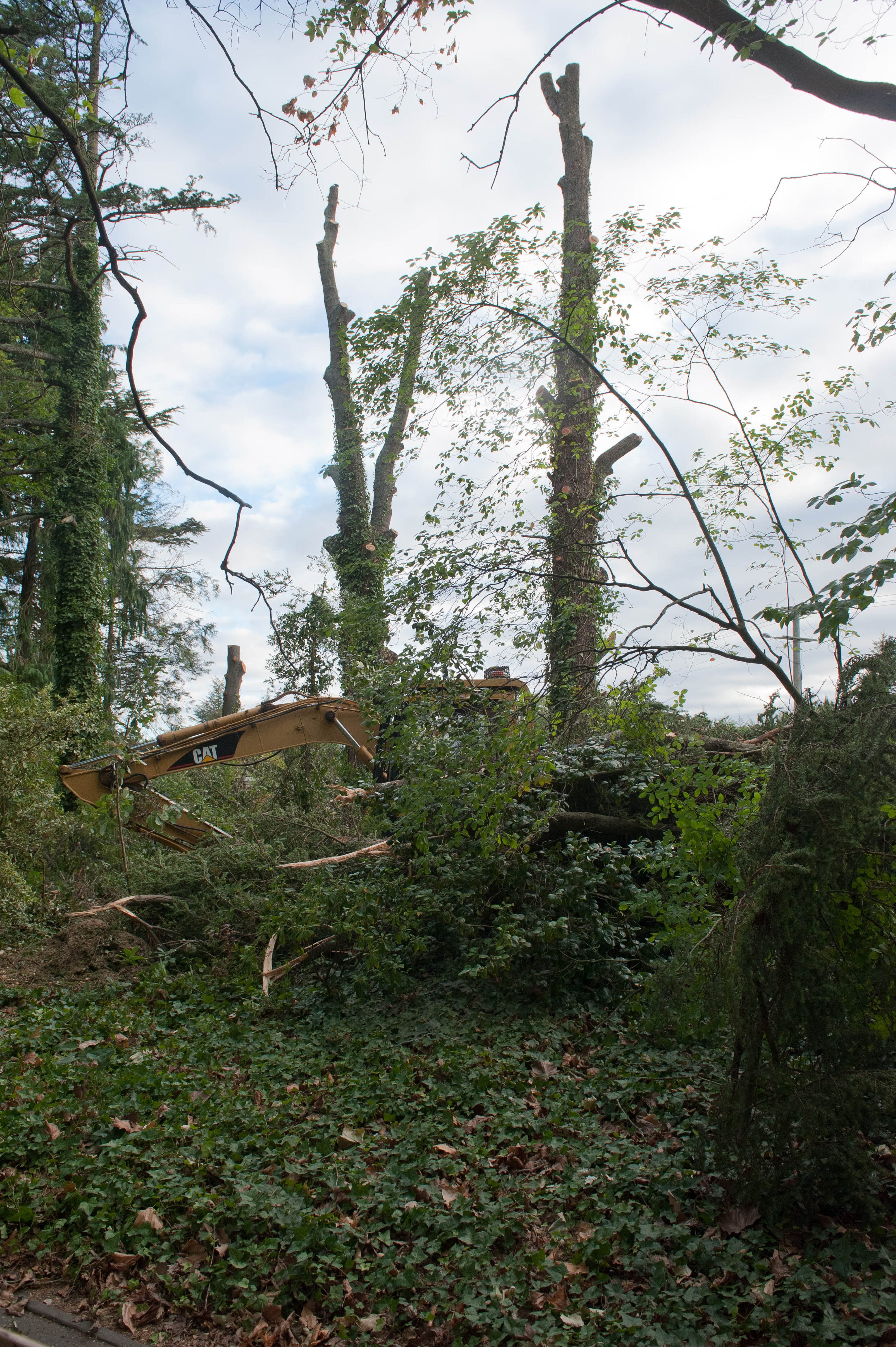 Hilgendorf Redevelopment 170