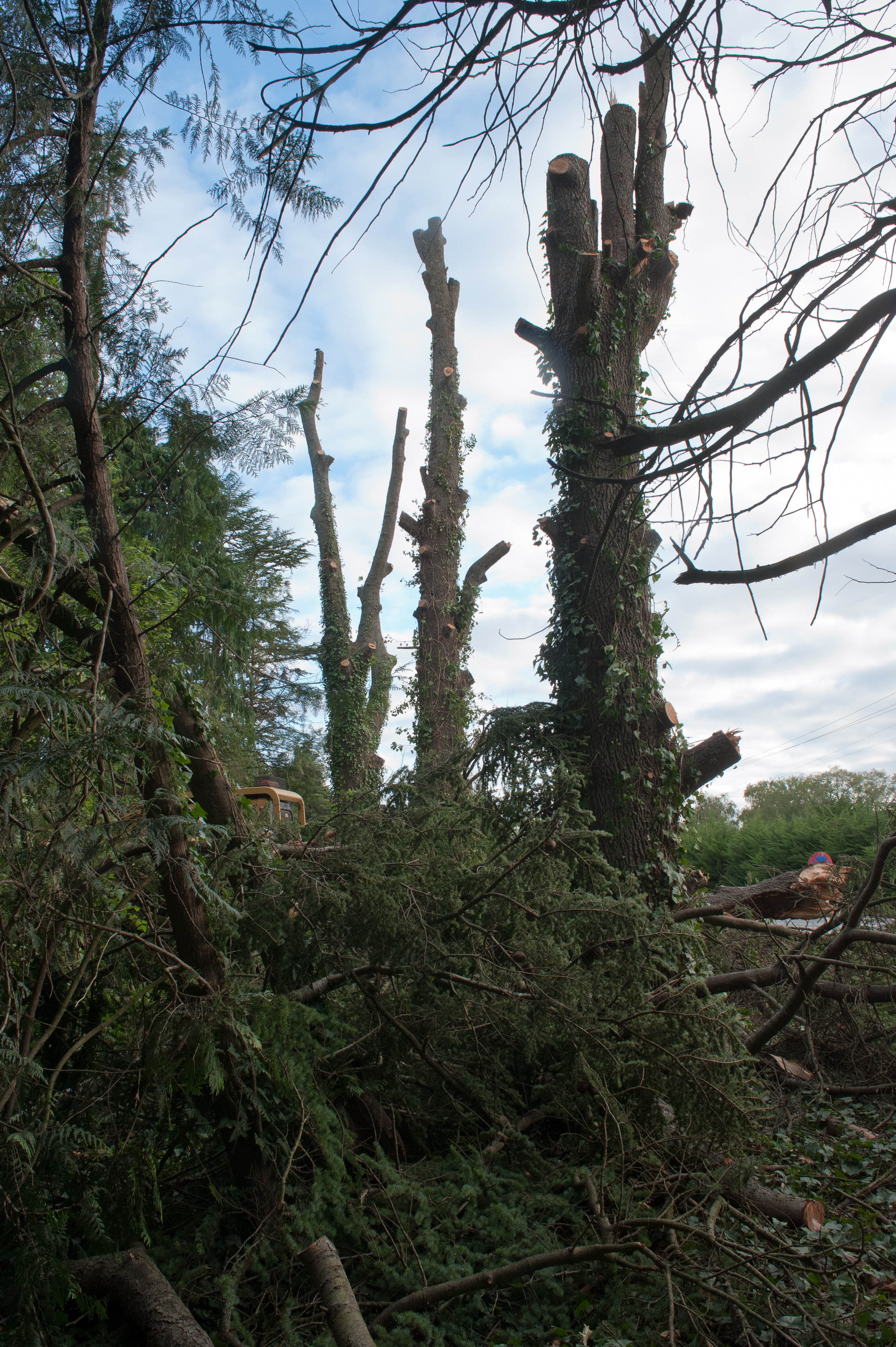 Hilgendorf Redevelopment 171