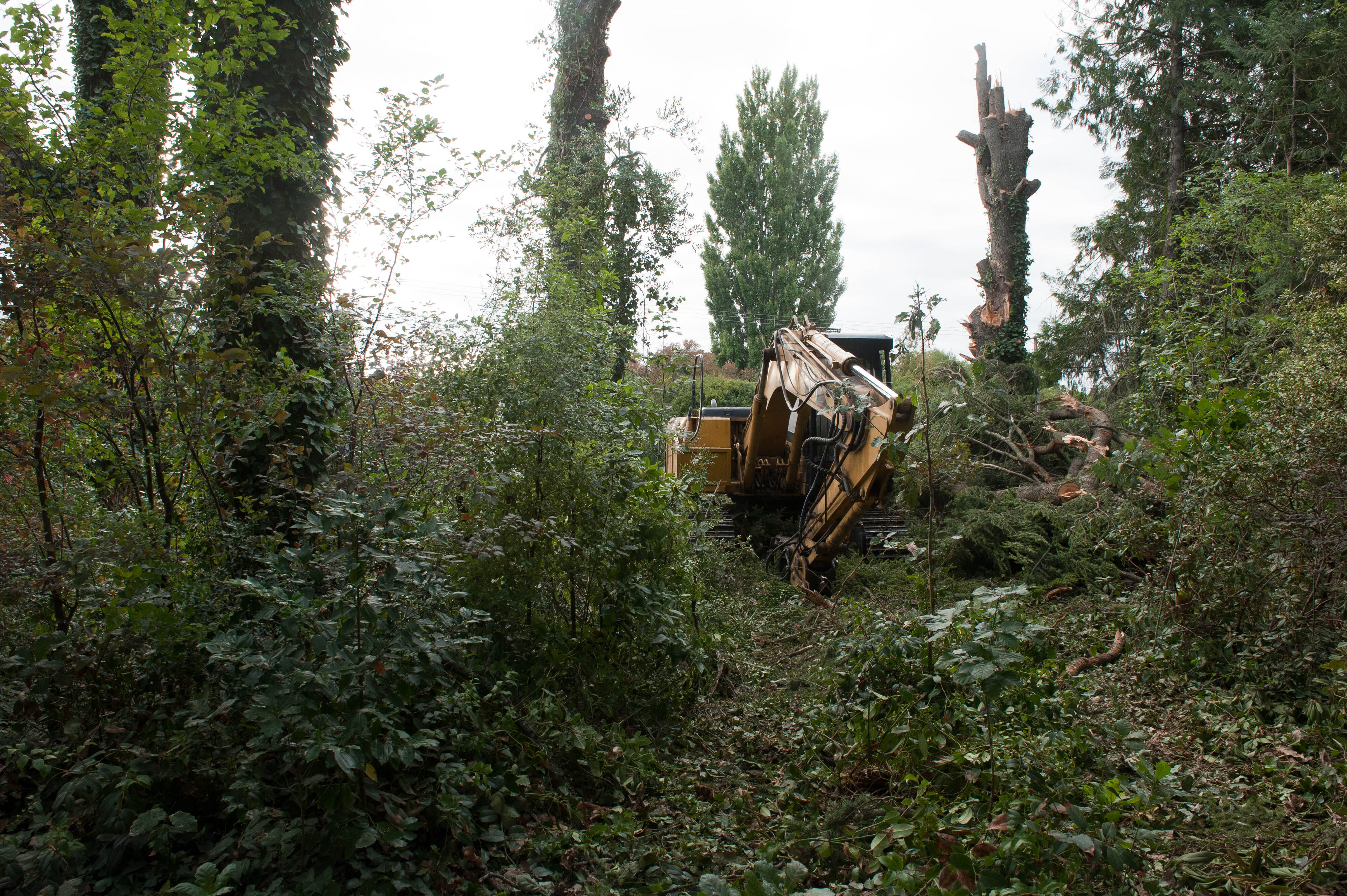 Hilgendorf Redevelopment 173