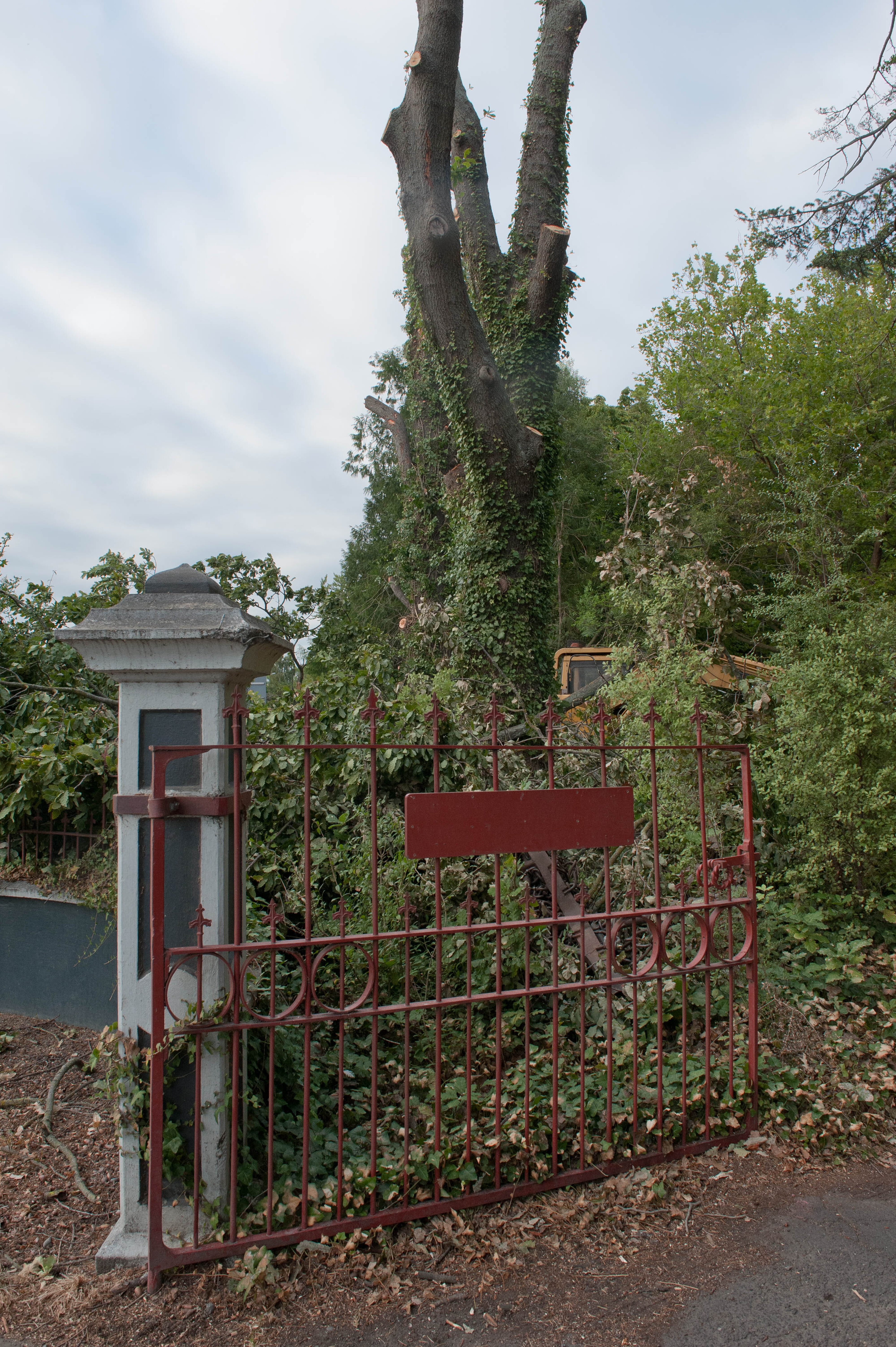 Hilgendorf Redevelopment 174