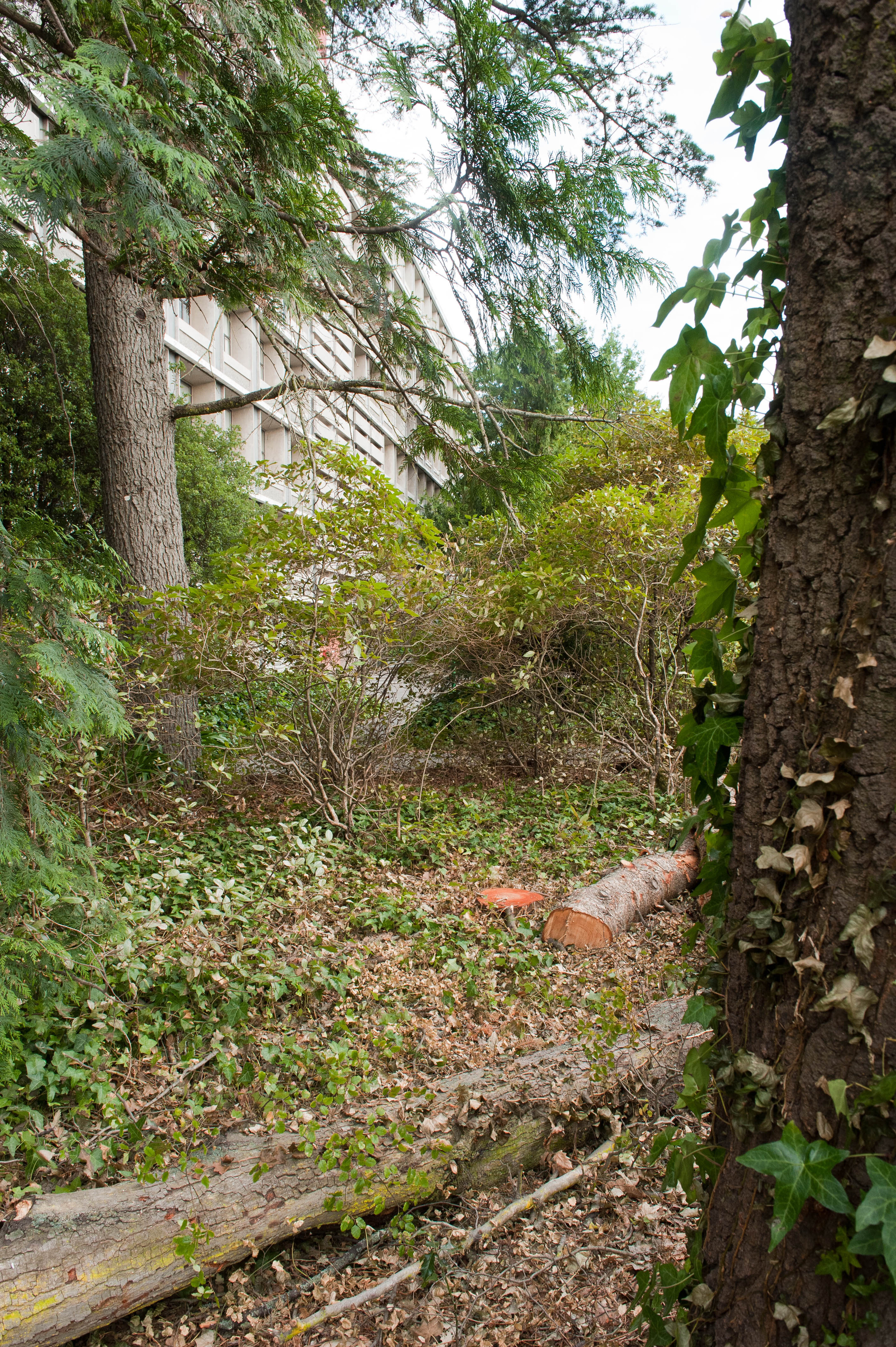 Hilgendorf Redevelopment 177