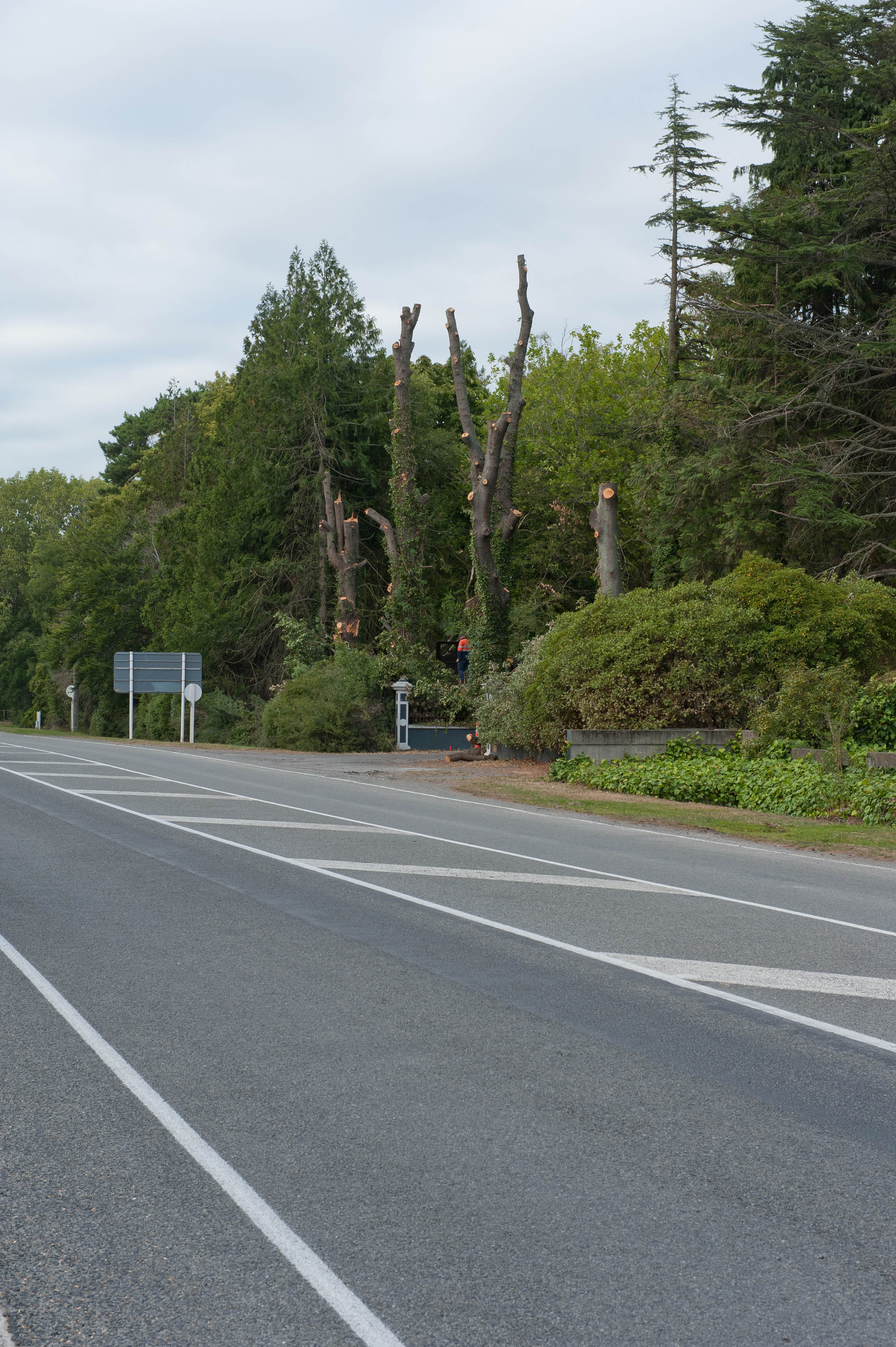 Hilgendorf Redevelopment 179