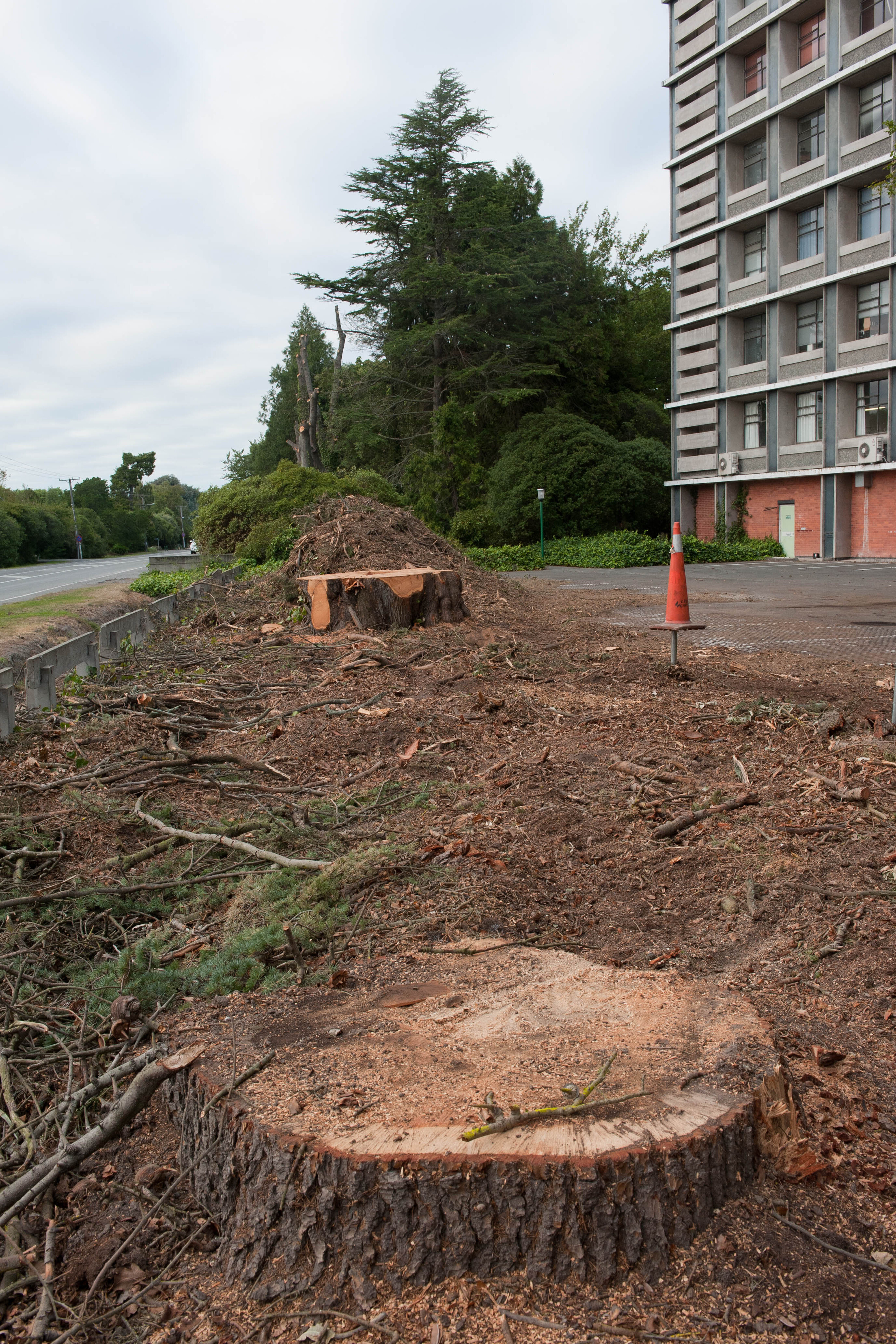 Hilgendorf Redevelopment 180