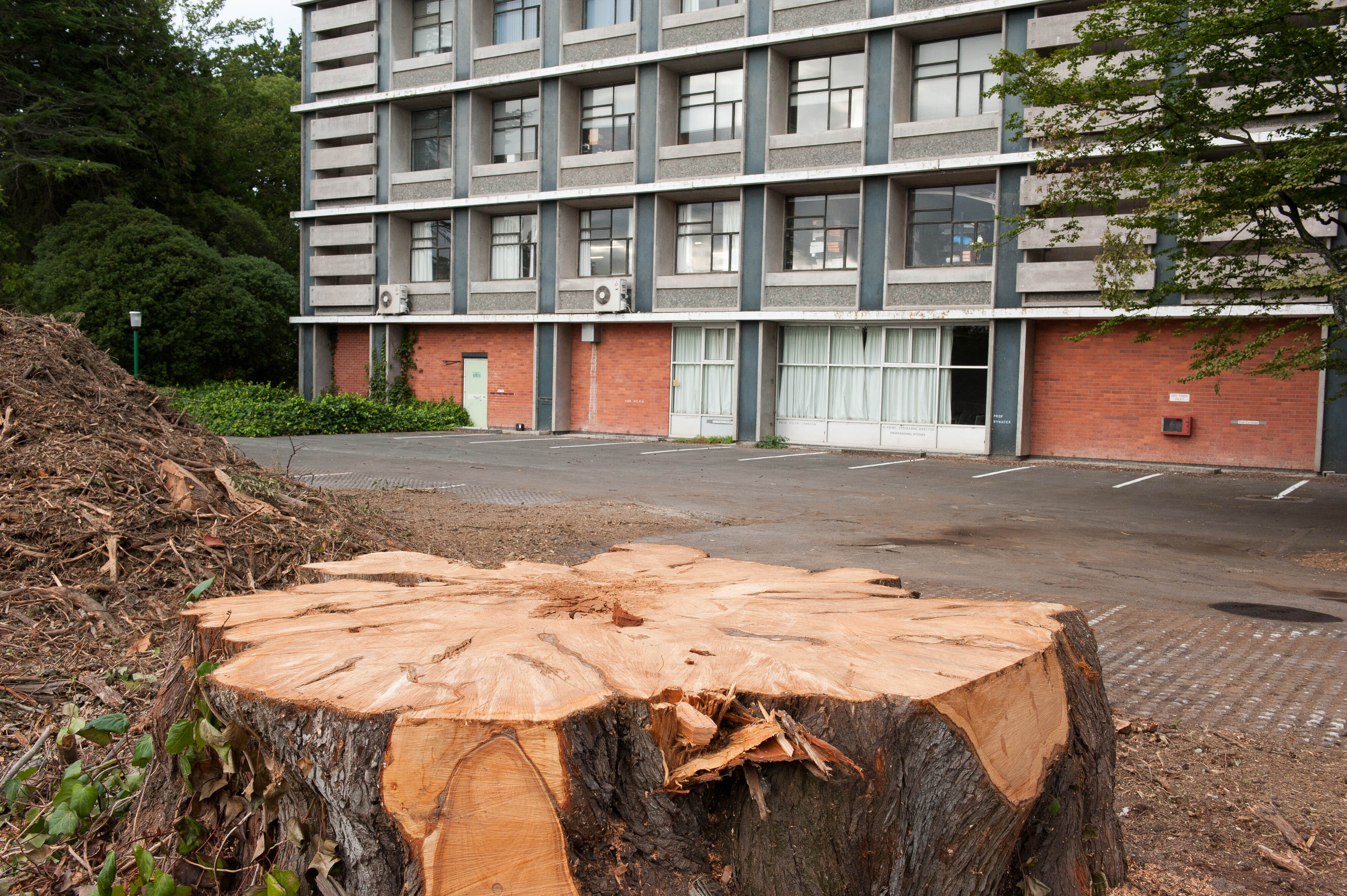 Hilgendorf Redevelopment 181