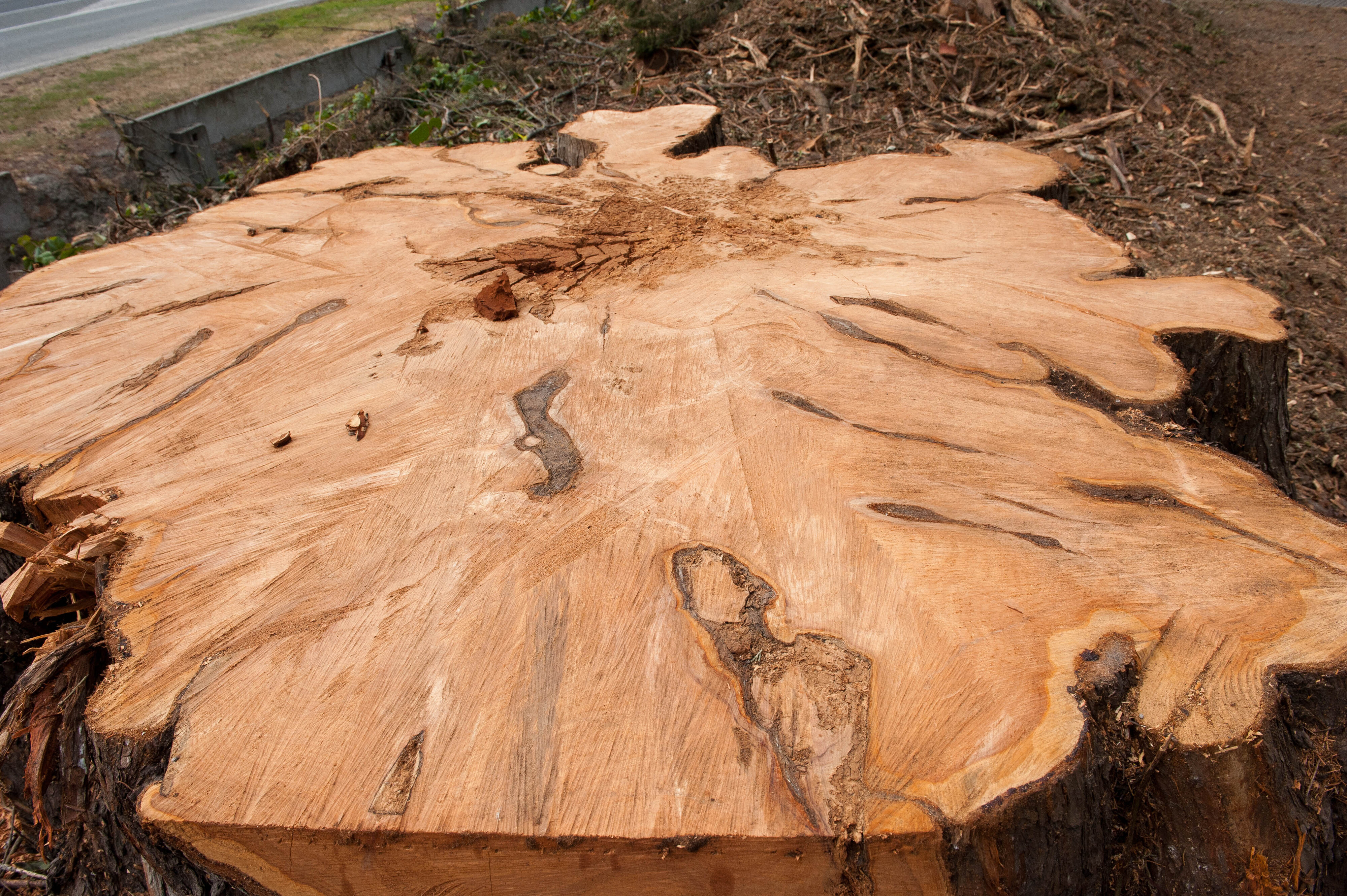 Hilgendorf Redevelopment 182