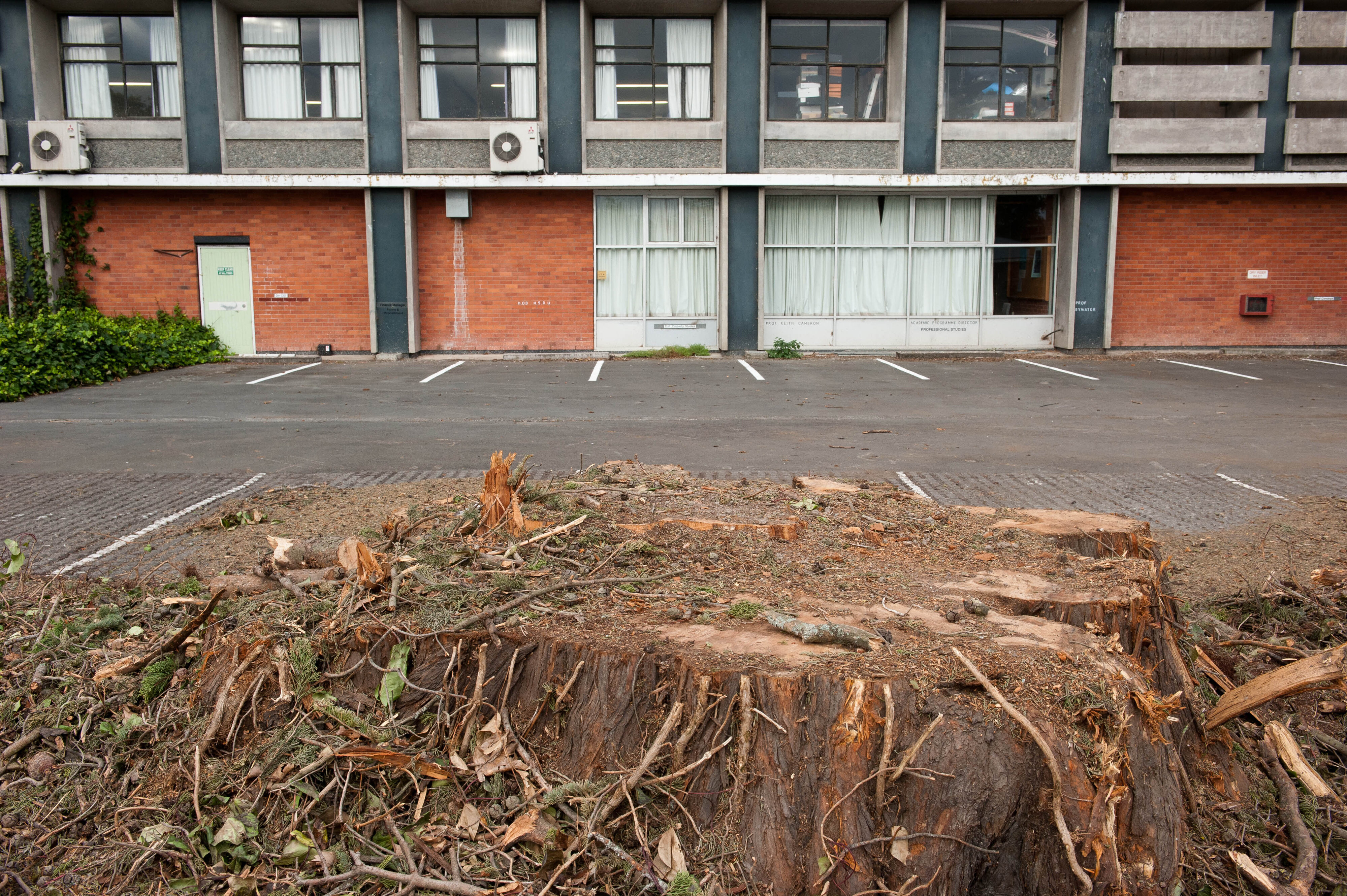 Hilgendorf Redevelopment 183