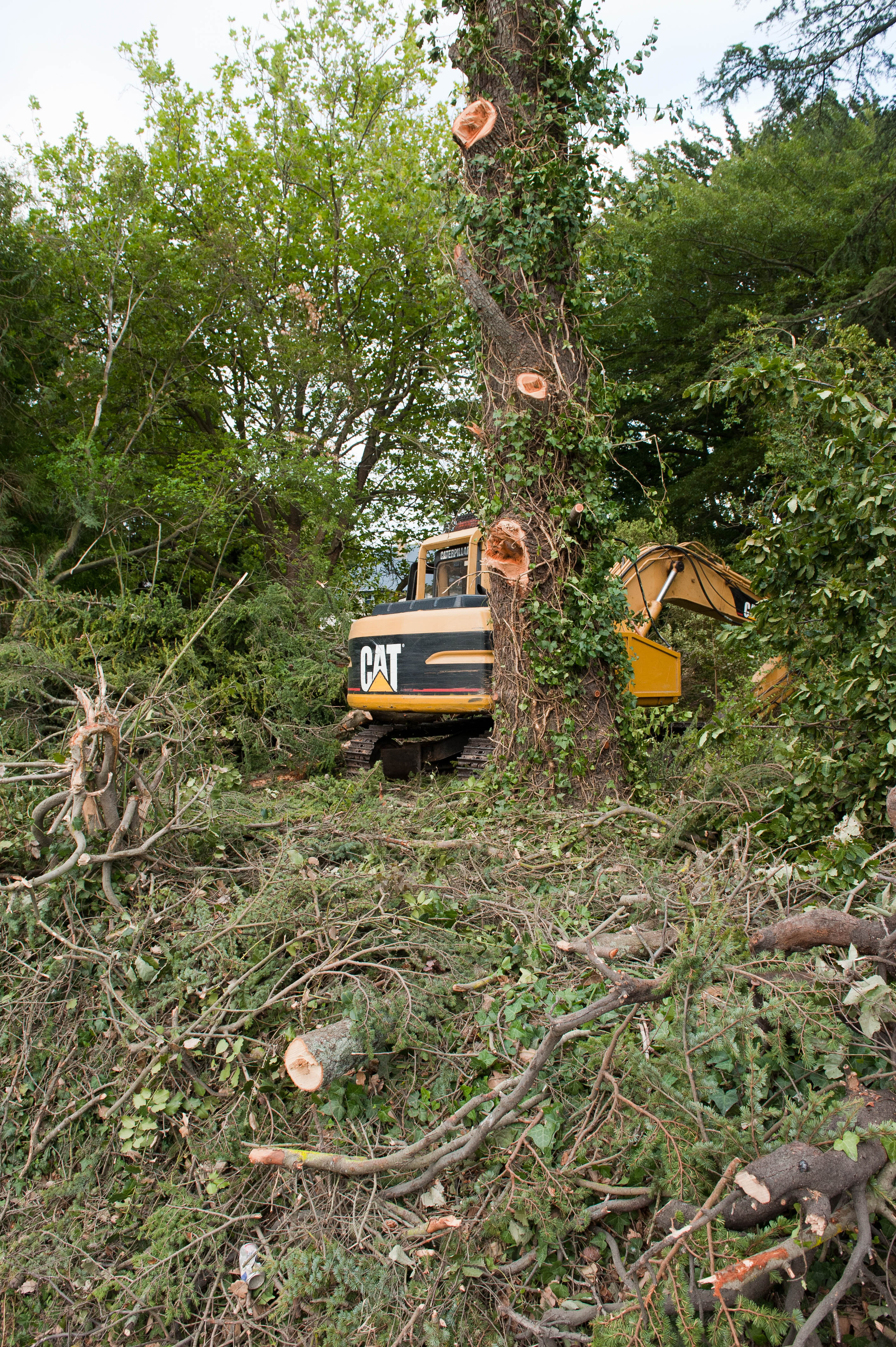 Hilgendorf Redevelopment 186