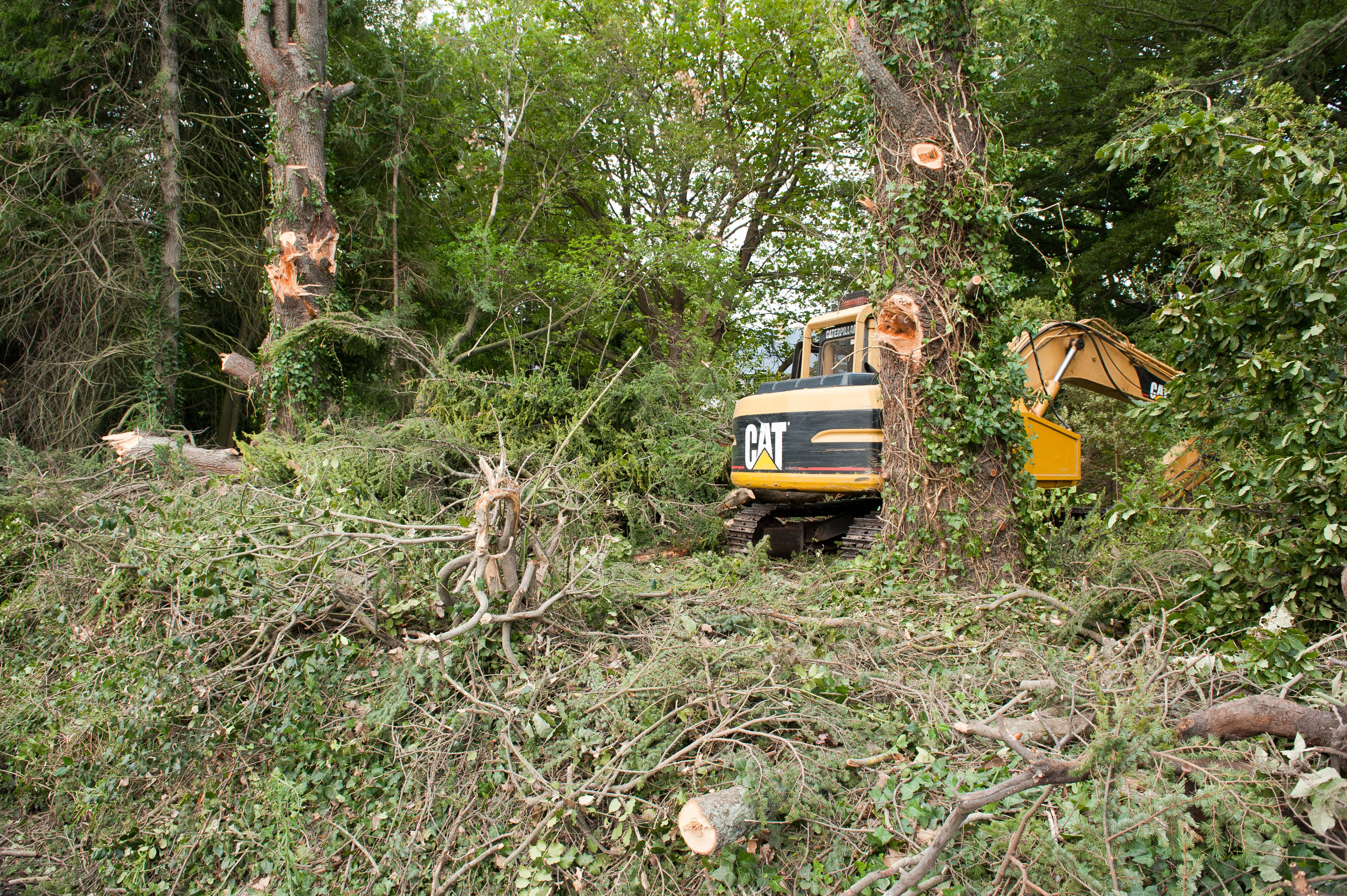 Hilgendorf Redevelopment 187