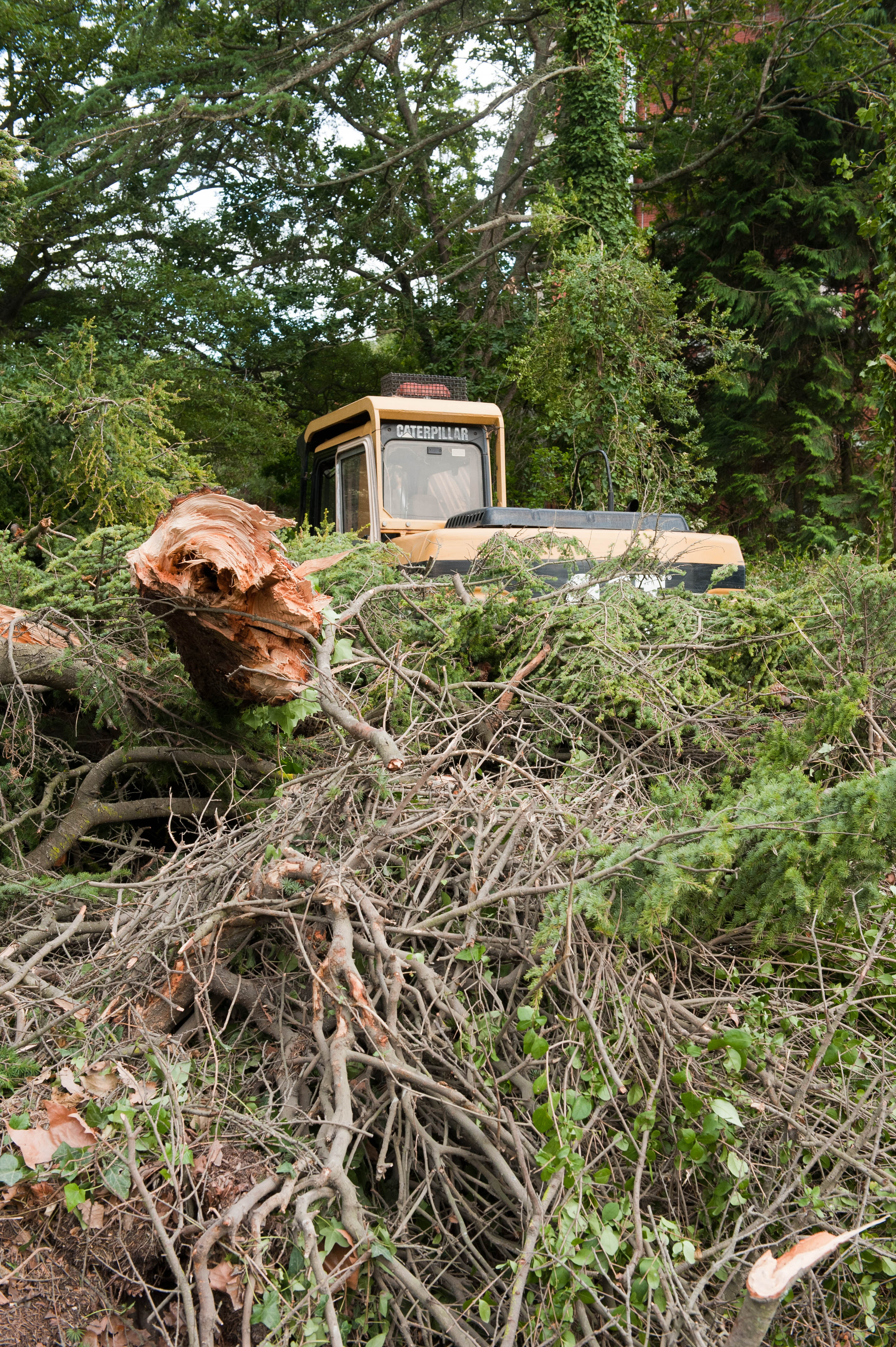 Hilgendorf Redevelopment 188