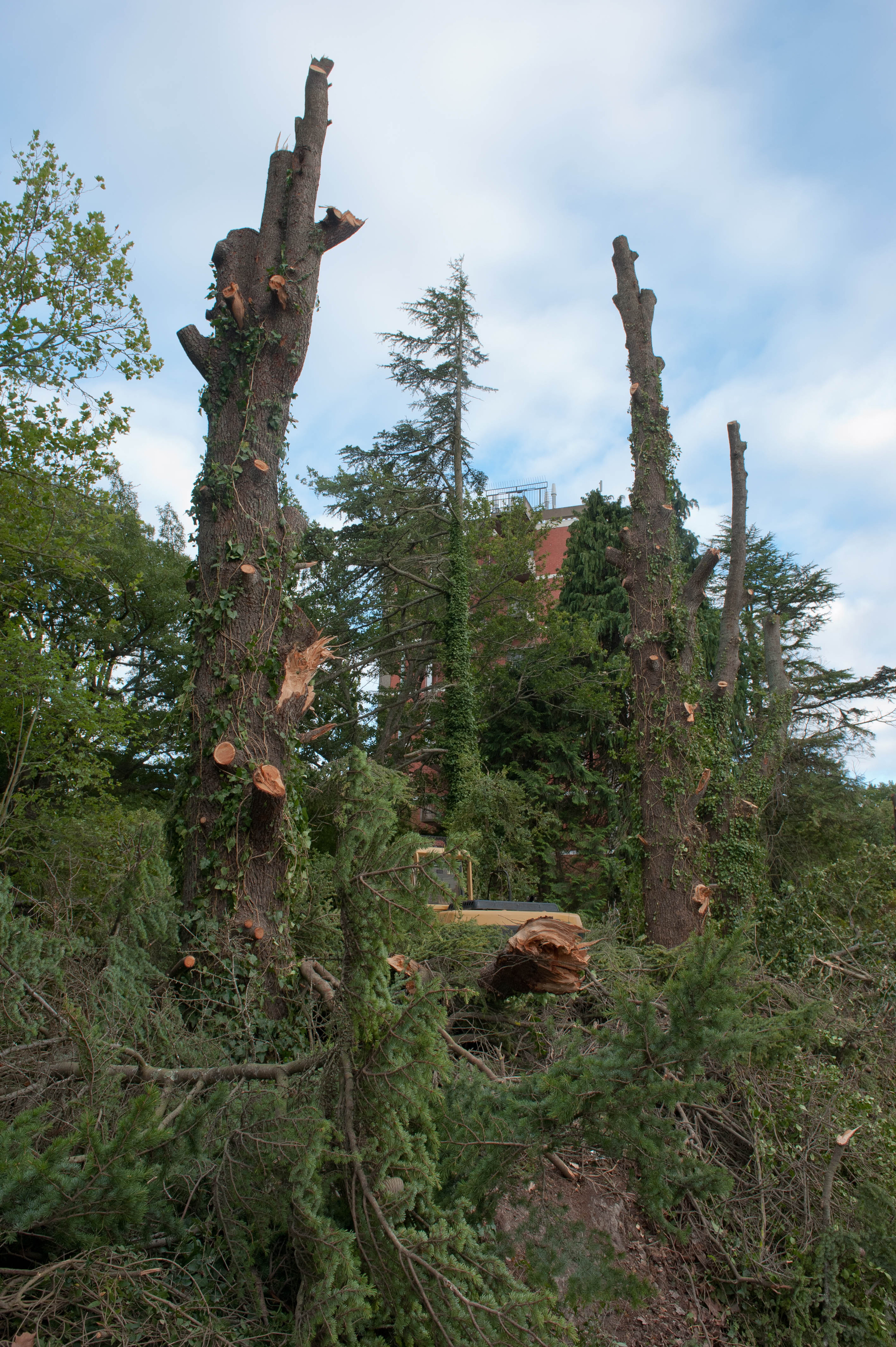 Hilgendorf Redevelopment 189