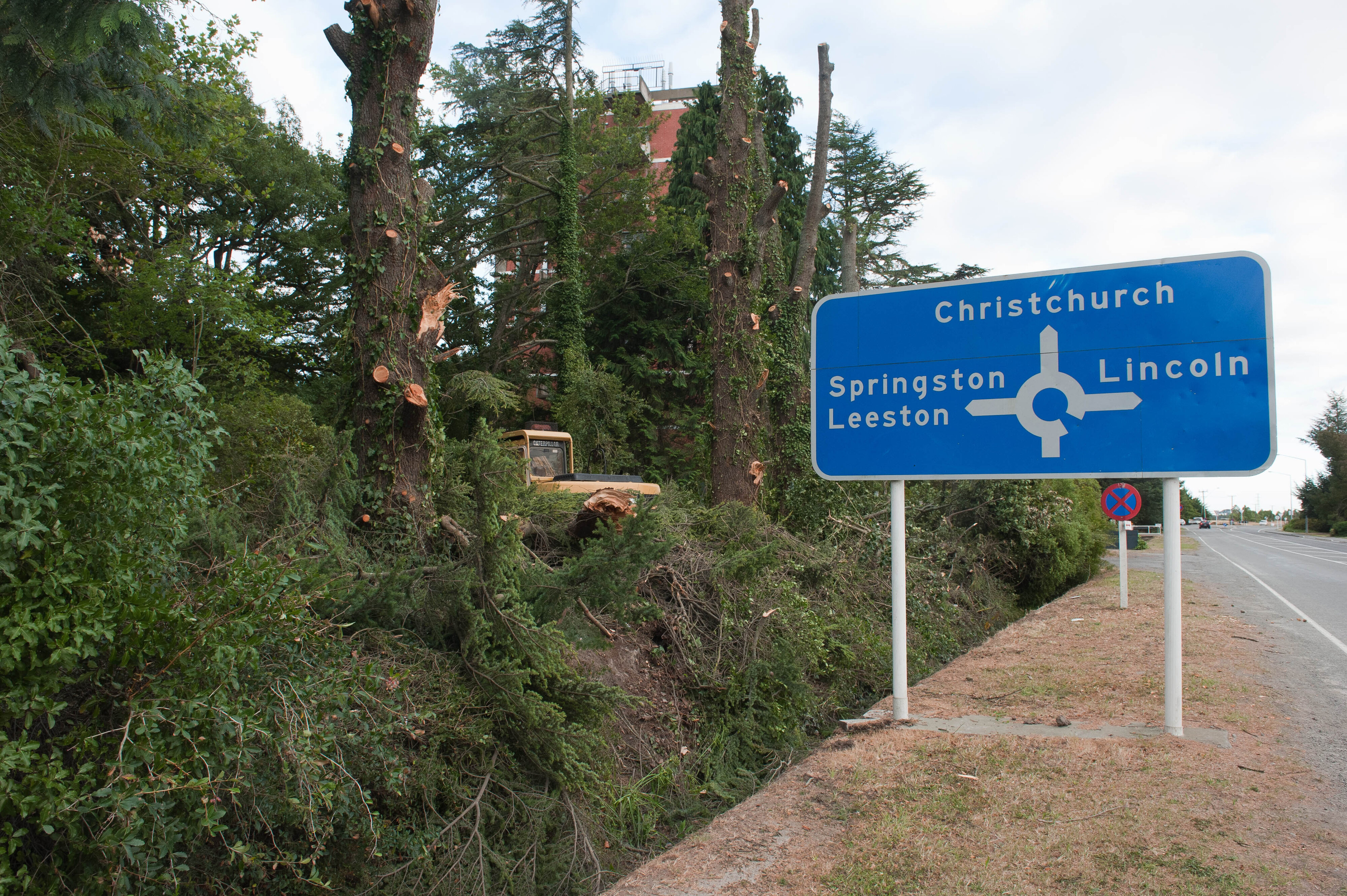 Hilgendorf Redevelopment 190