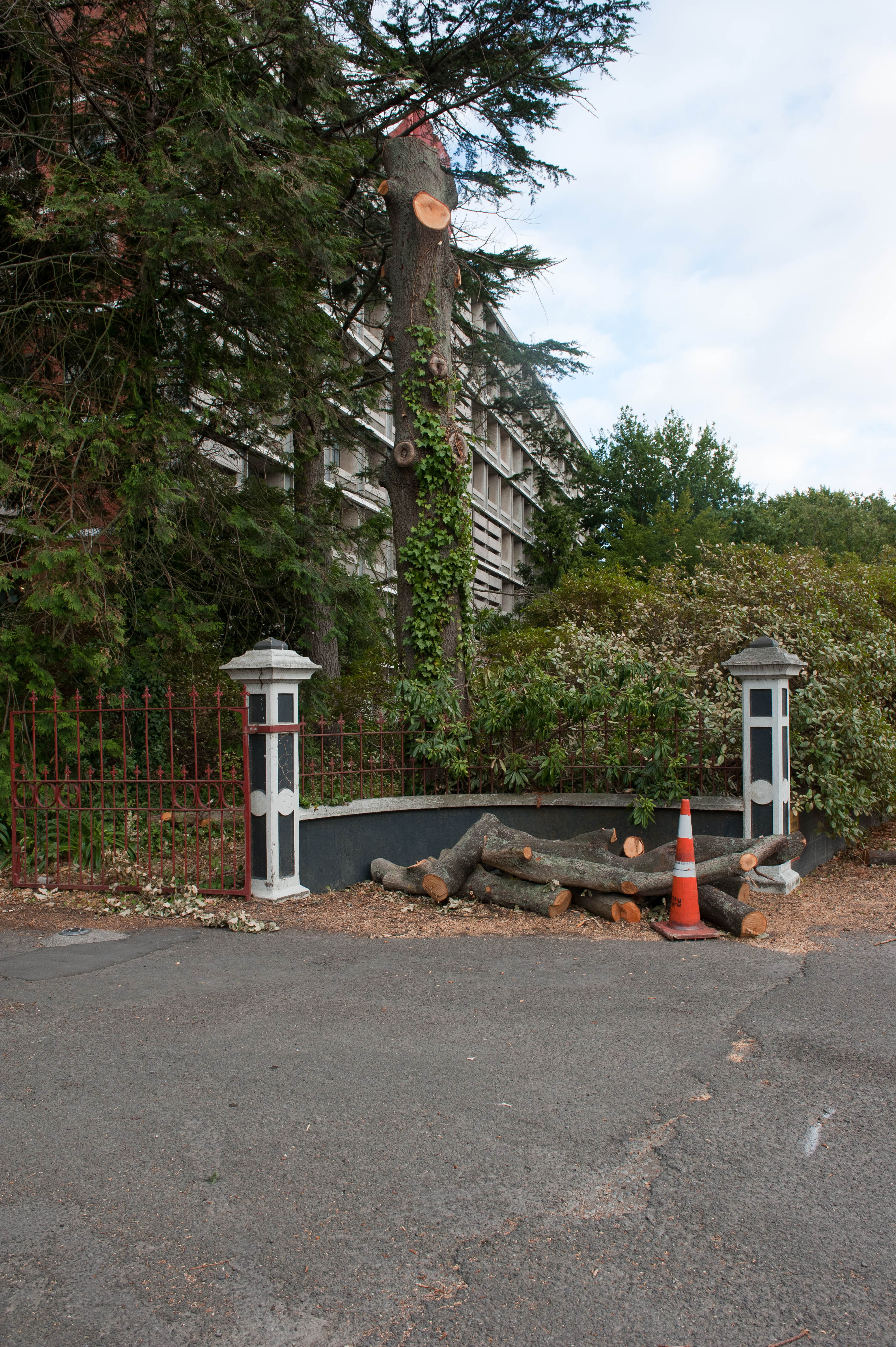 Hilgendorf Redevelopment 192