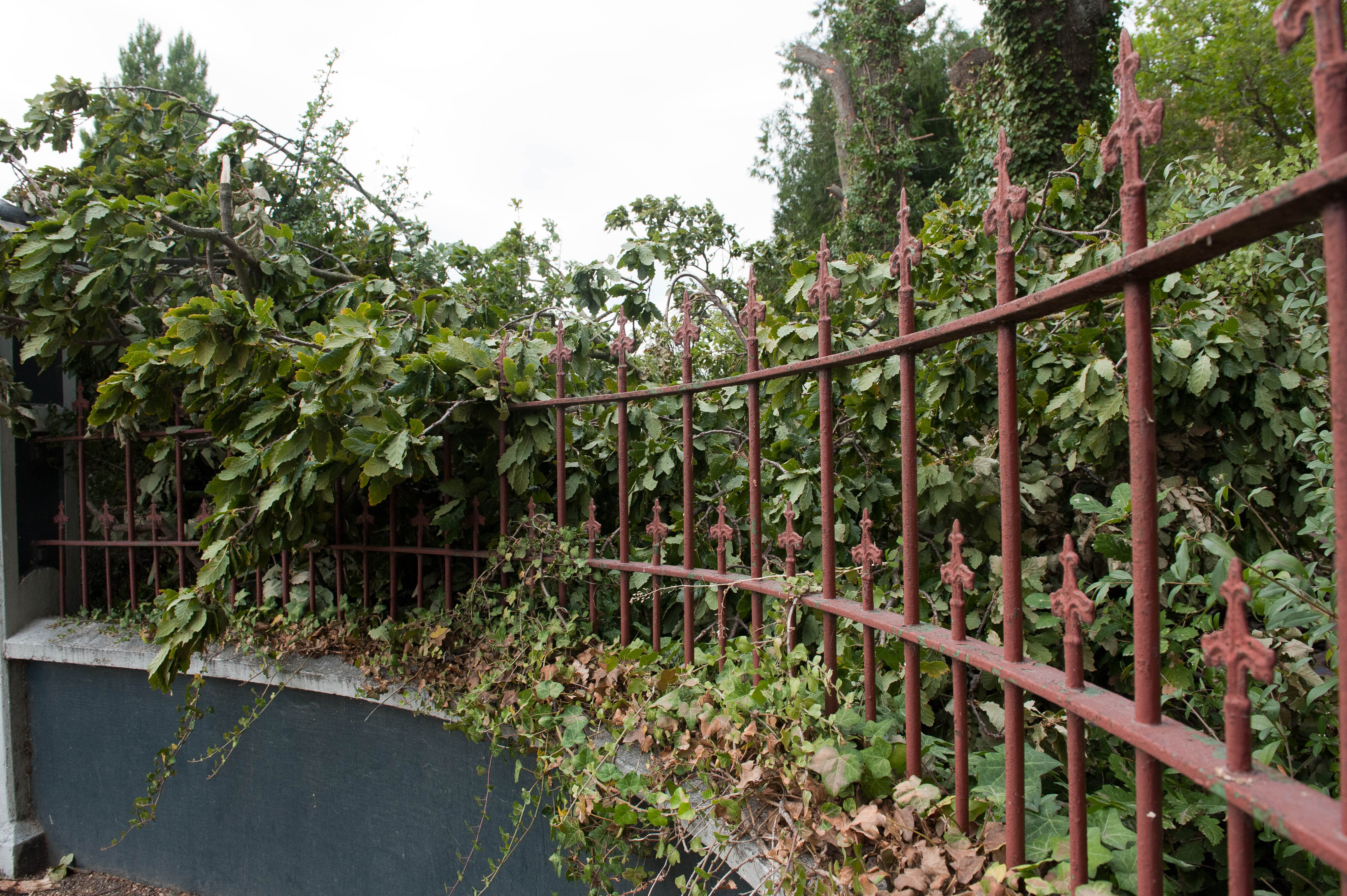 Hilgendorf Redevelopment 193