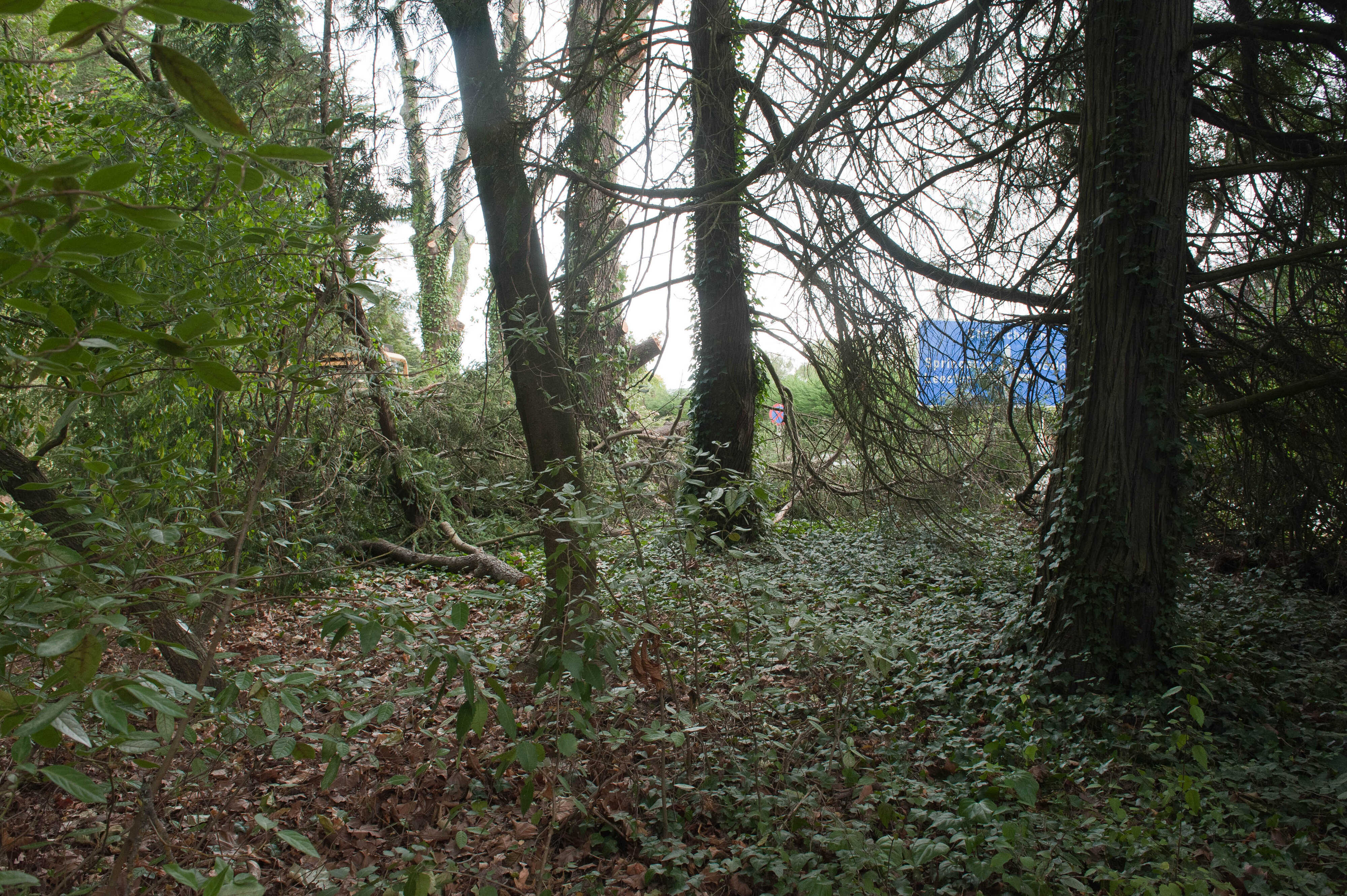 Hilgendorf Redevelopment 194