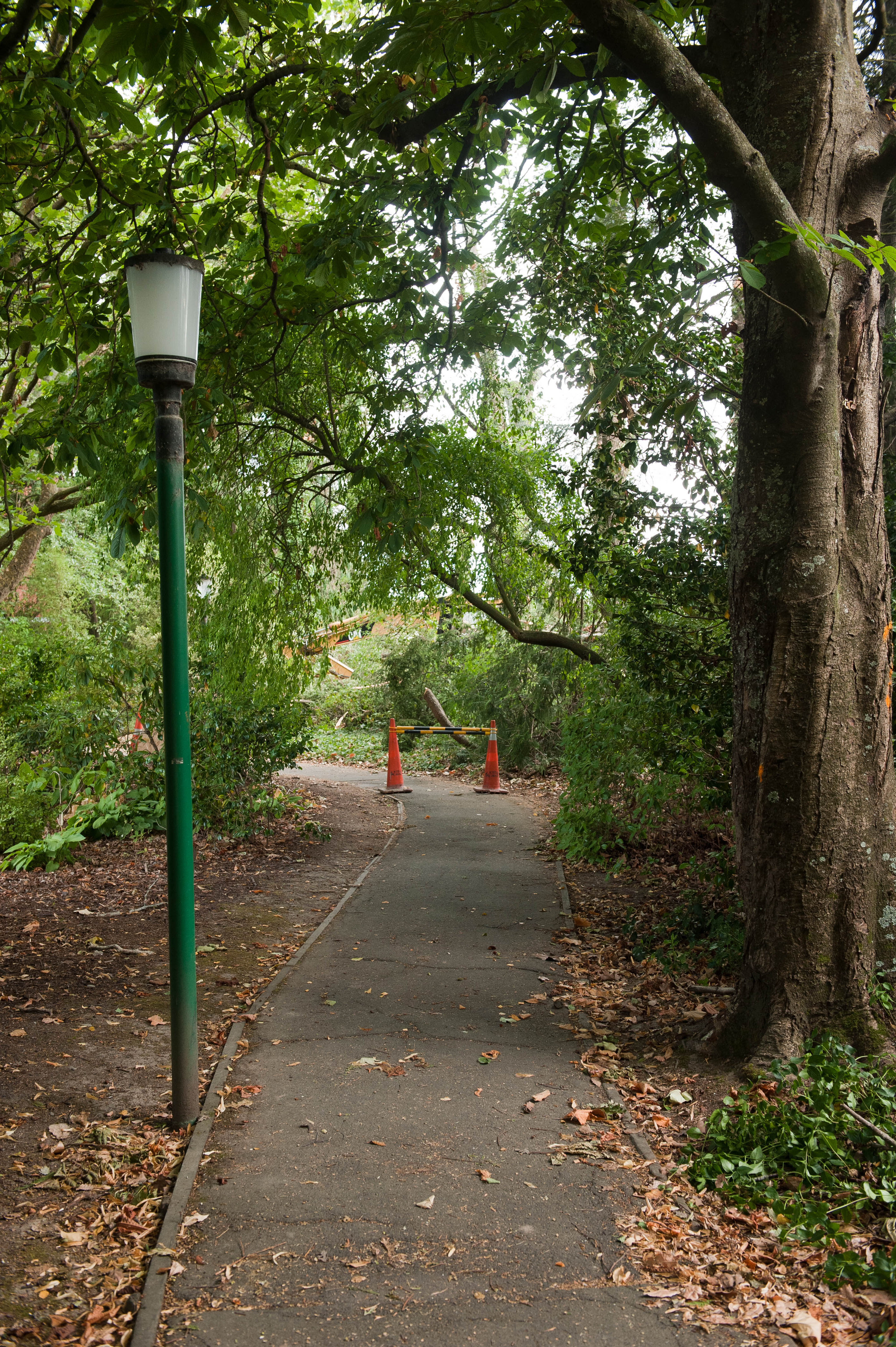 Hilgendorf Redevelopment 198