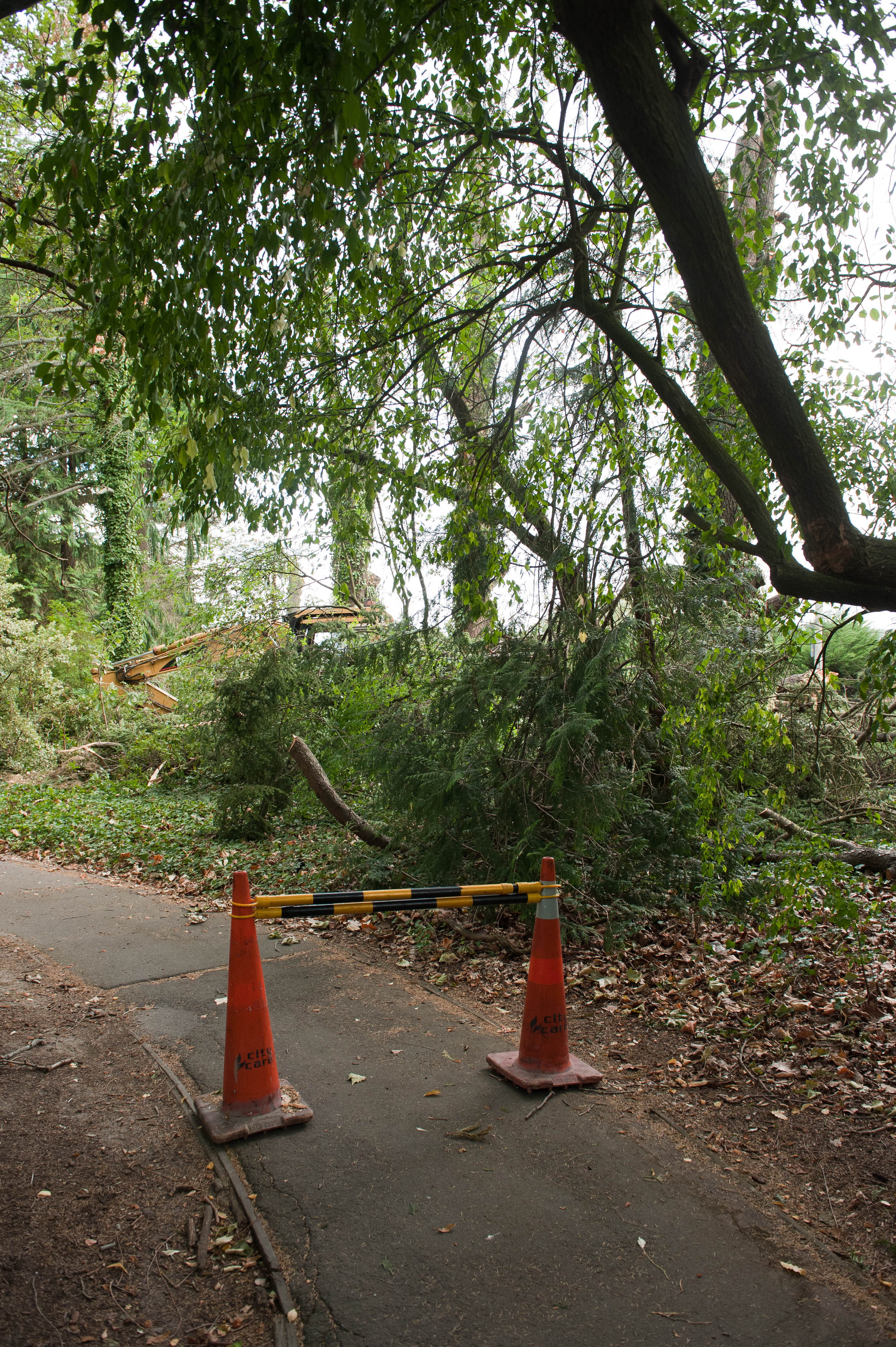 Hilgendorf Redevelopment 199