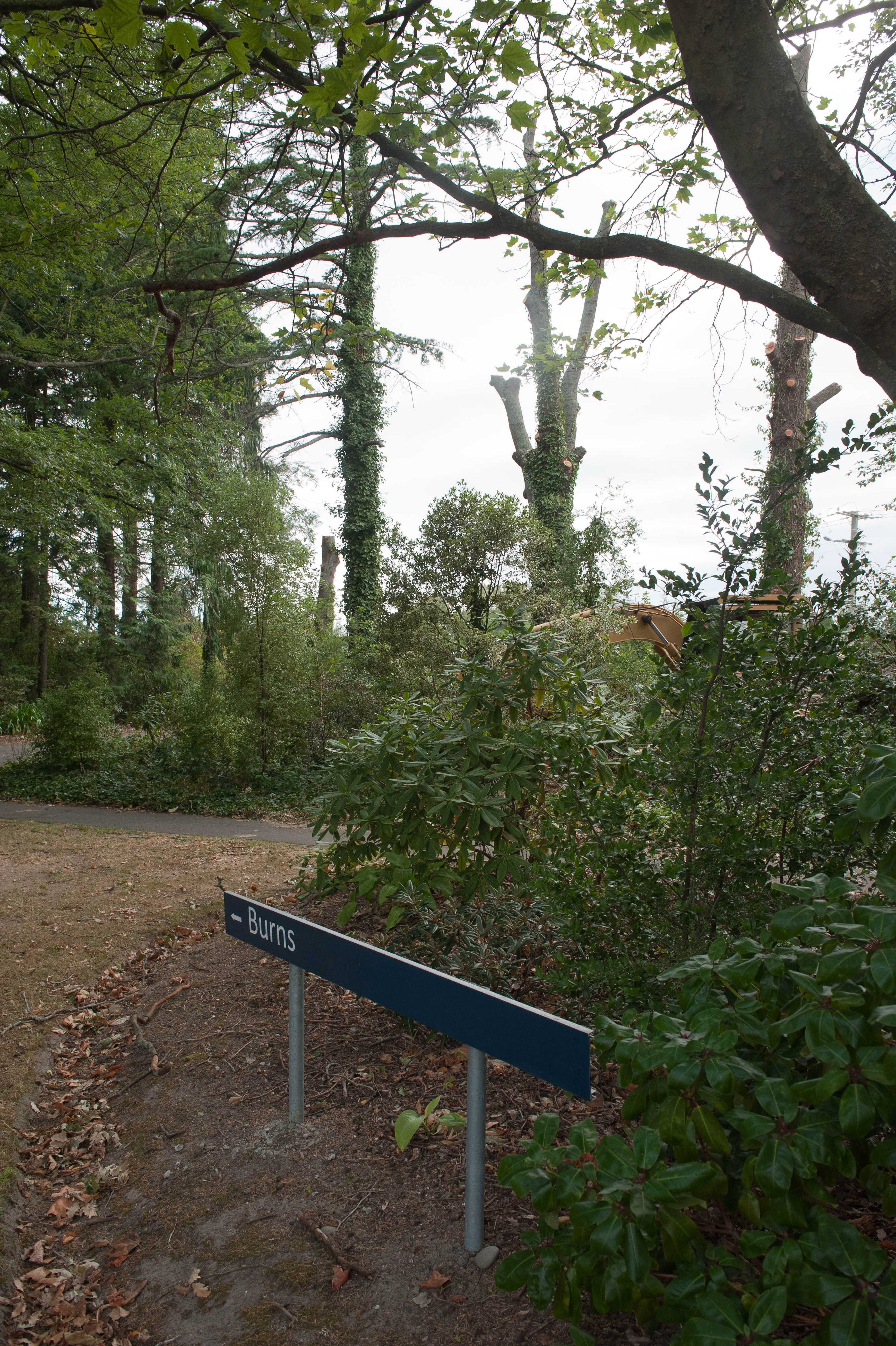 Hilgendorf Redevelopment 200