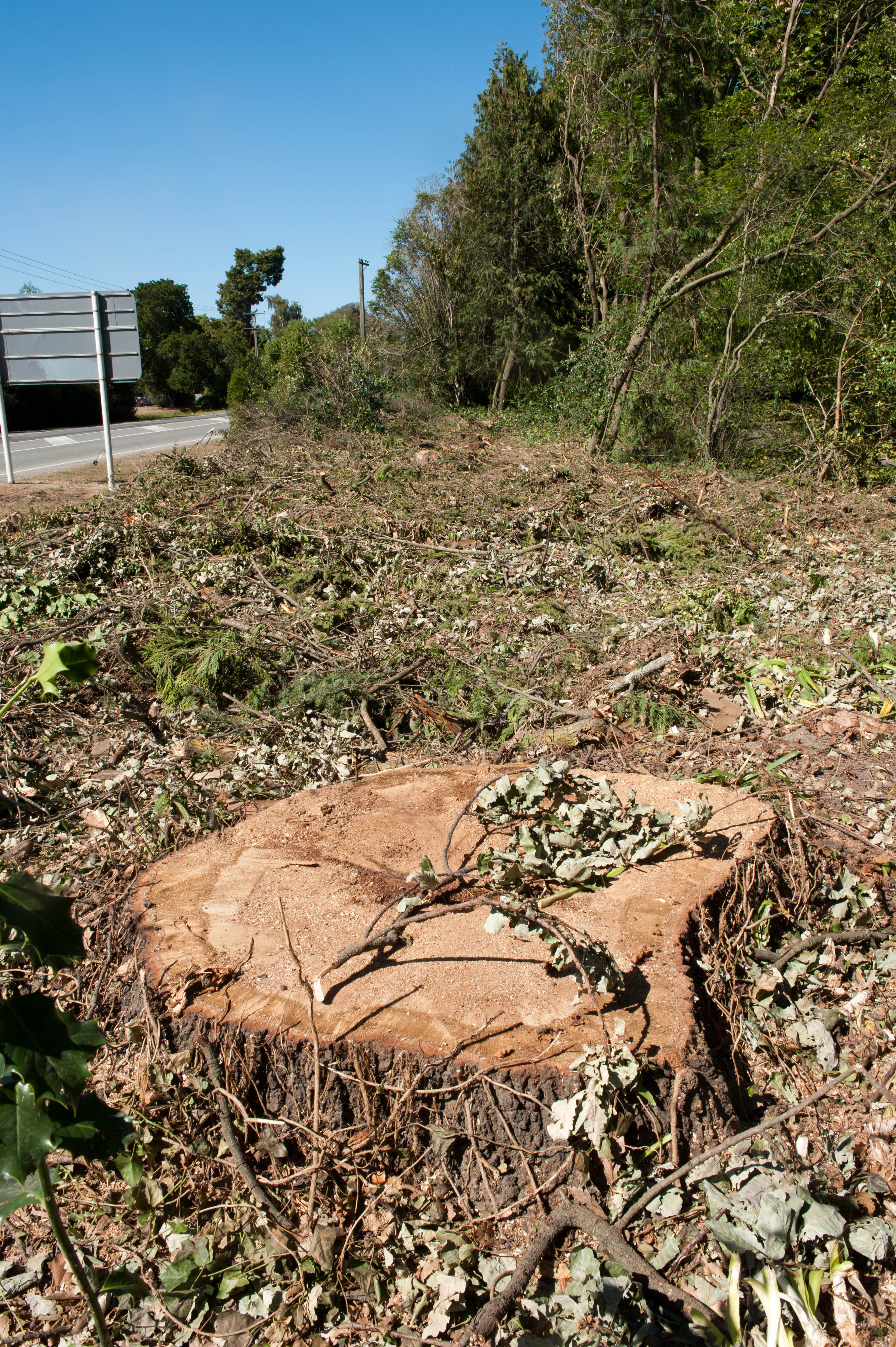 Hilgendorf Redevelopment 202