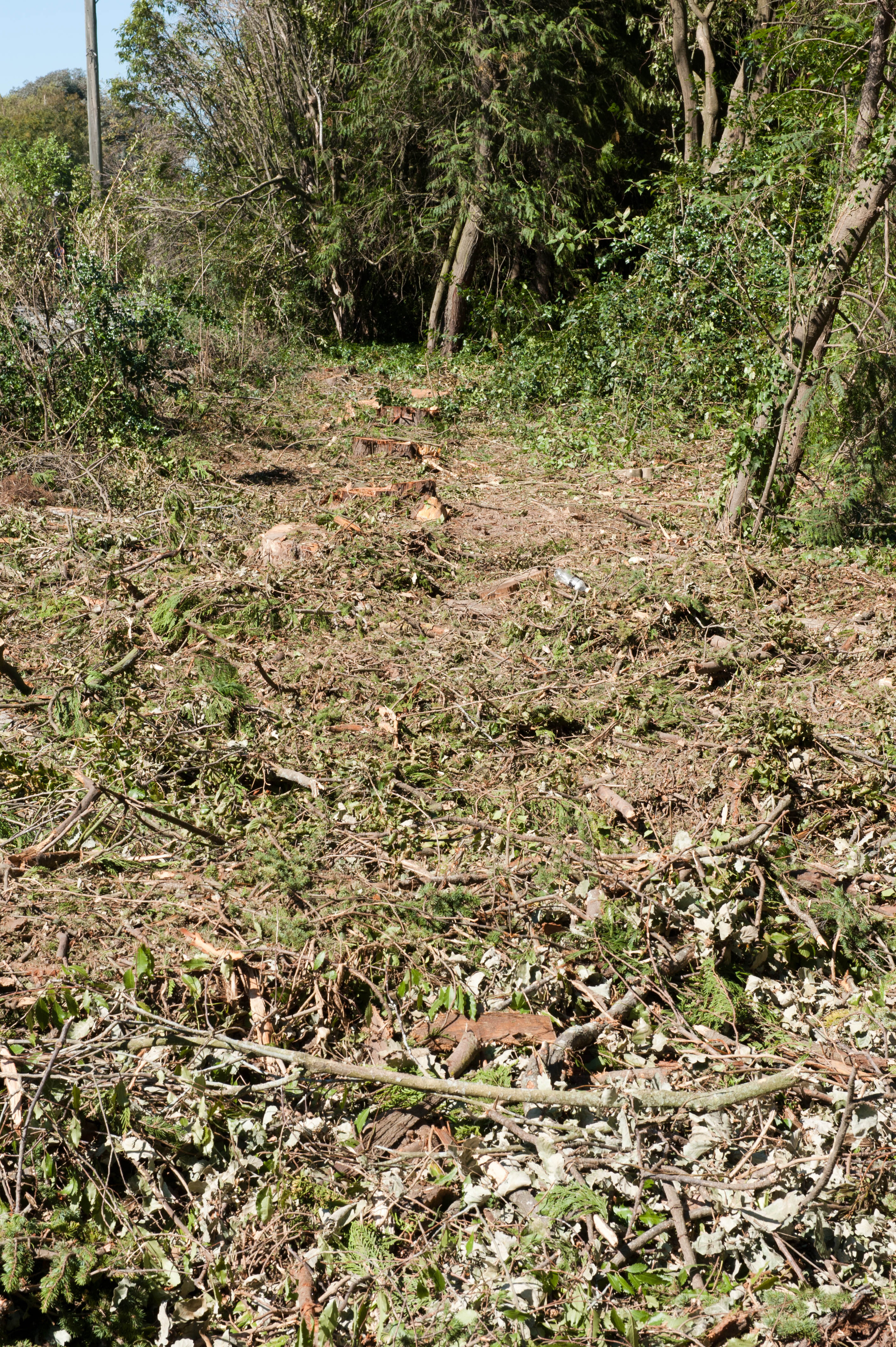 Hilgendorf Redevelopment 203