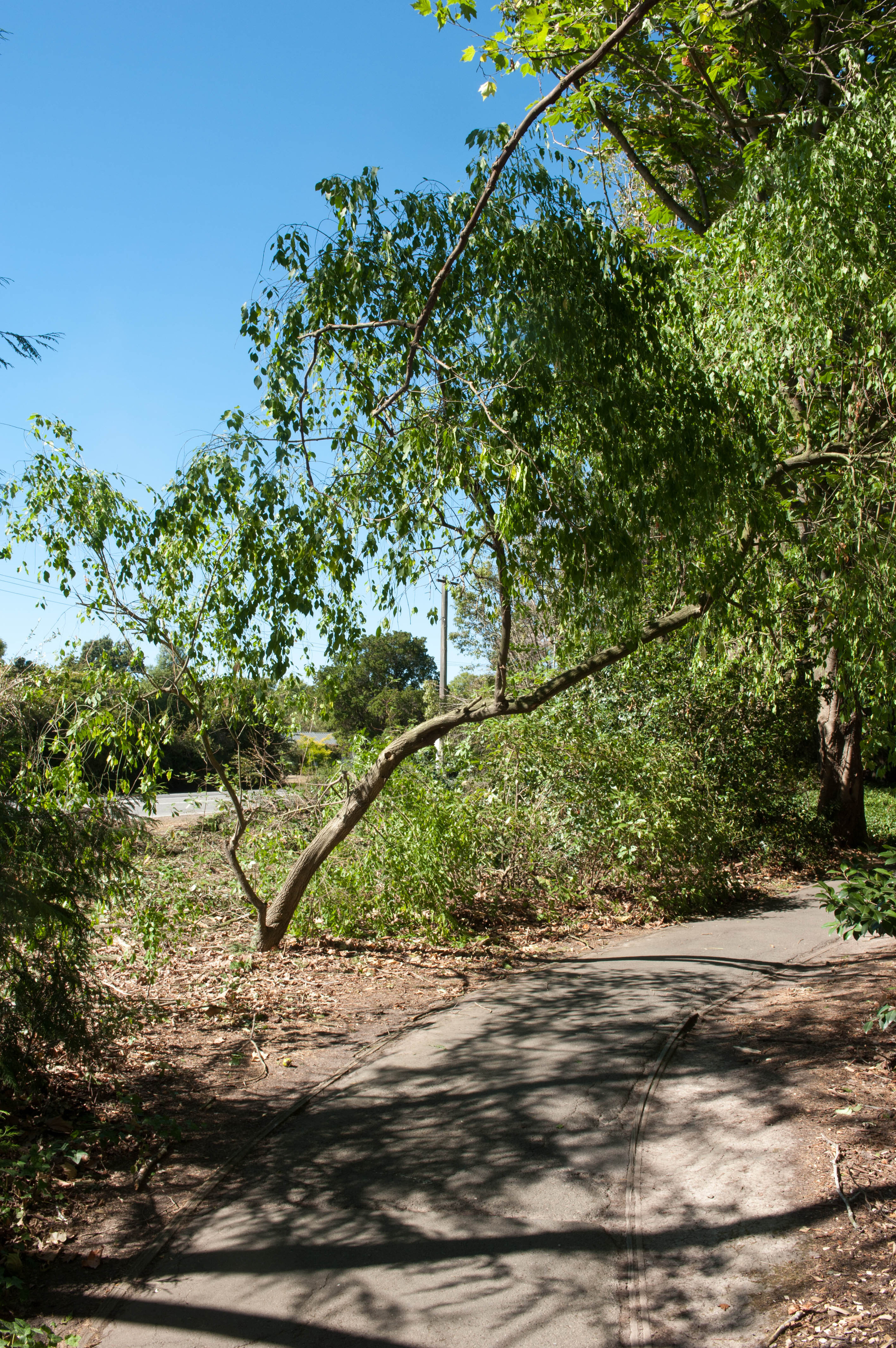 Hilgendorf Redevelopment 205