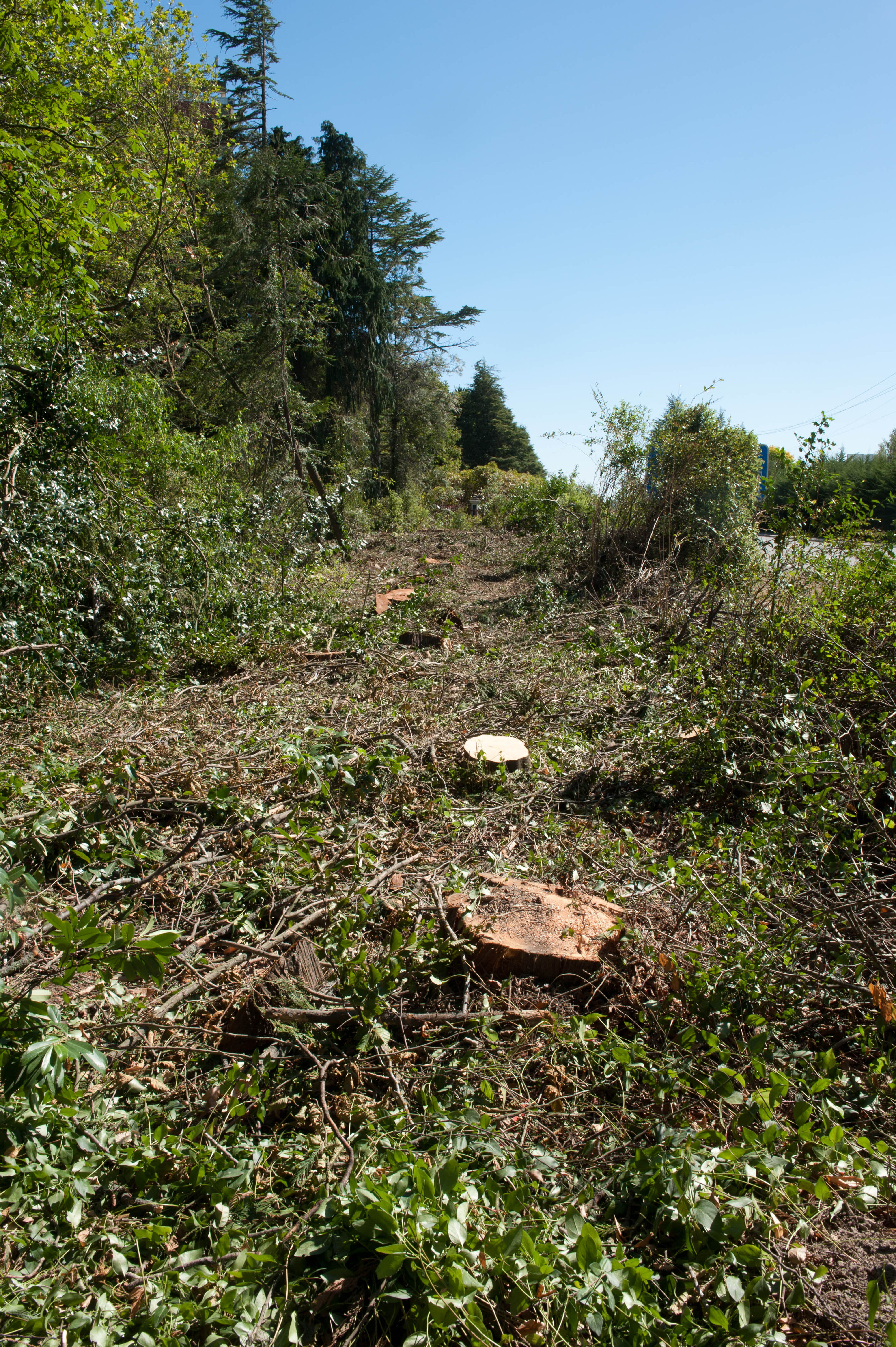 Hilgendorf Redevelopment 206