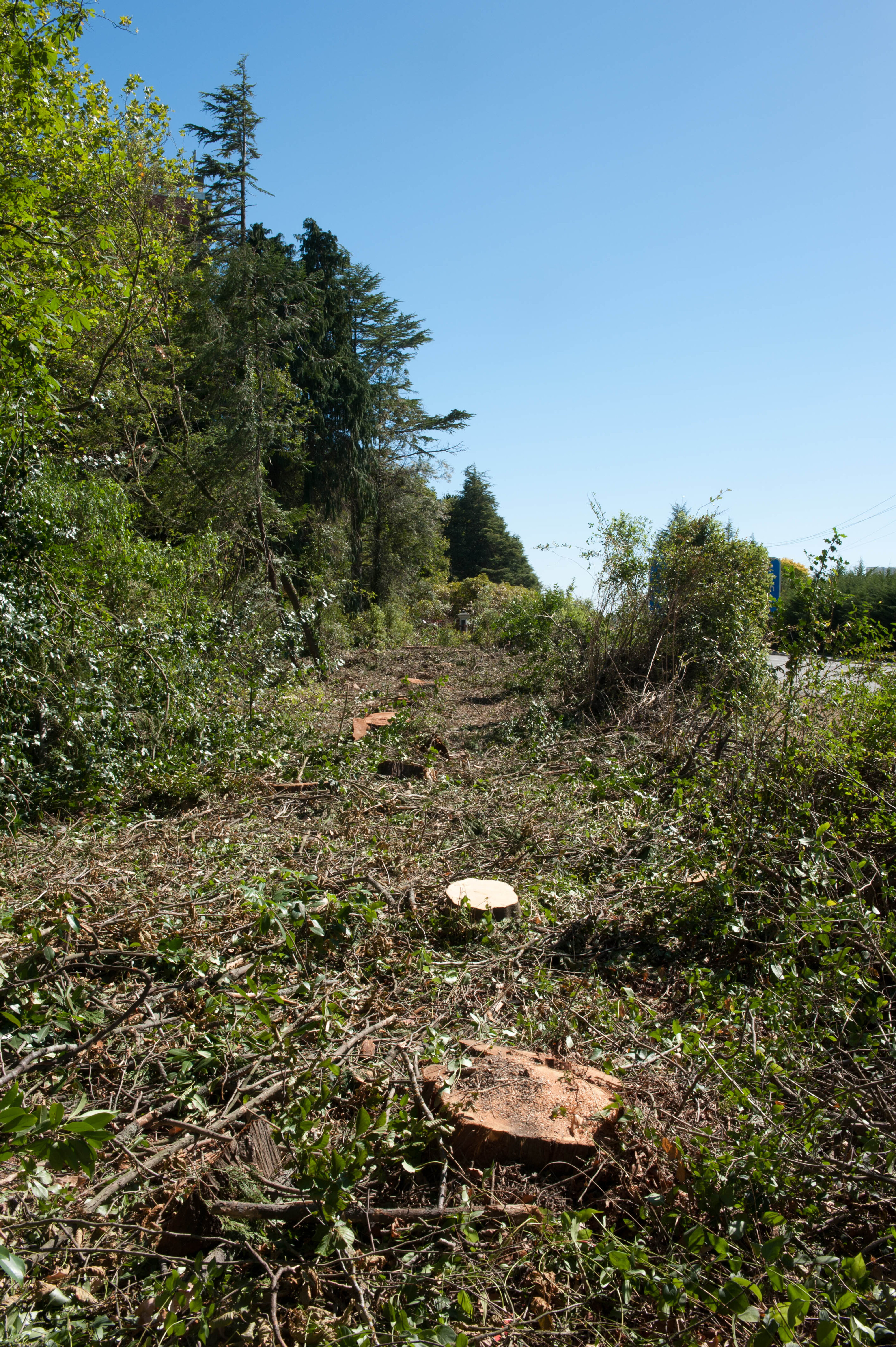 Hilgendorf Redevelopment 207