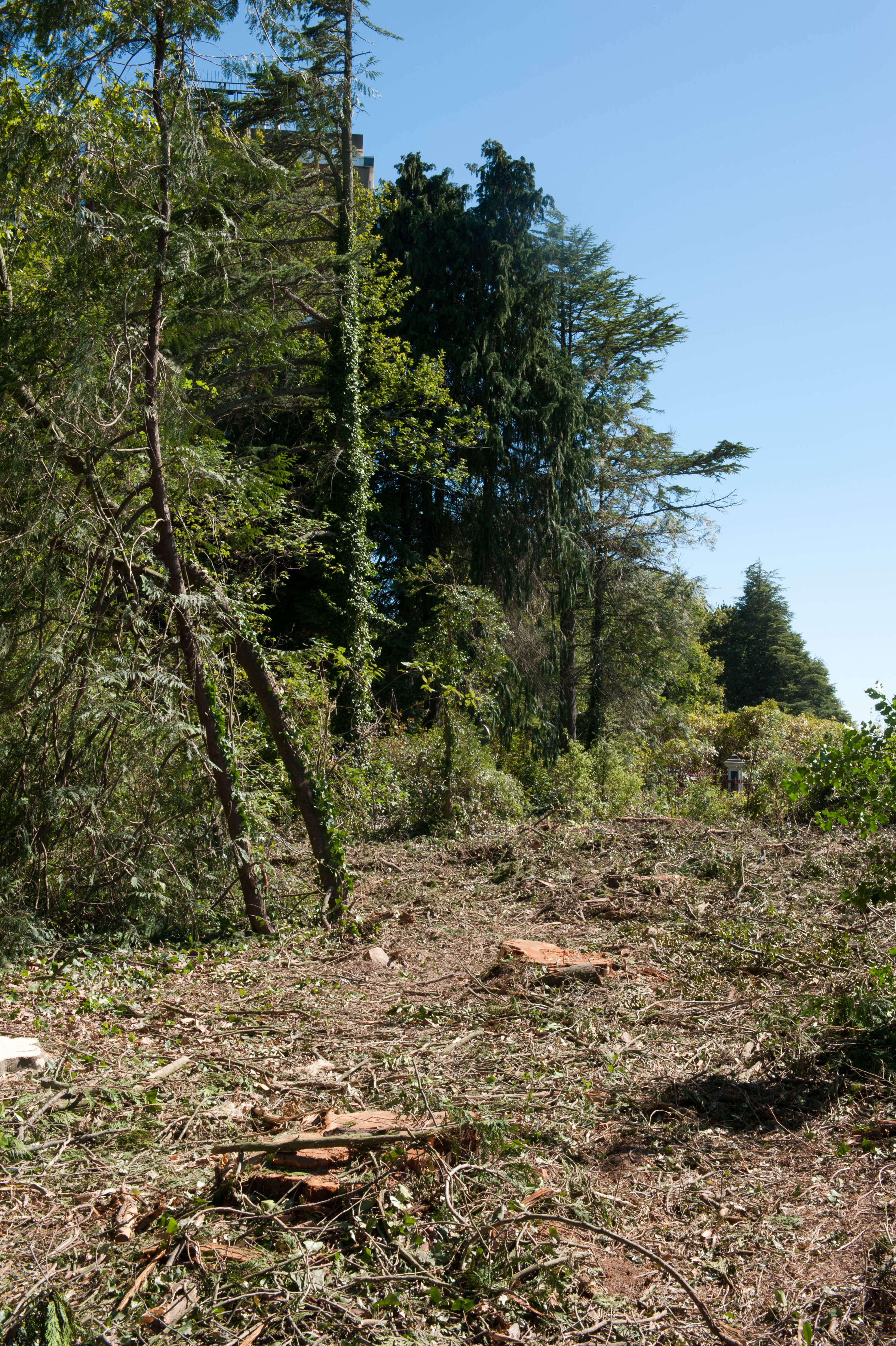 Hilgendorf Redevelopment 208