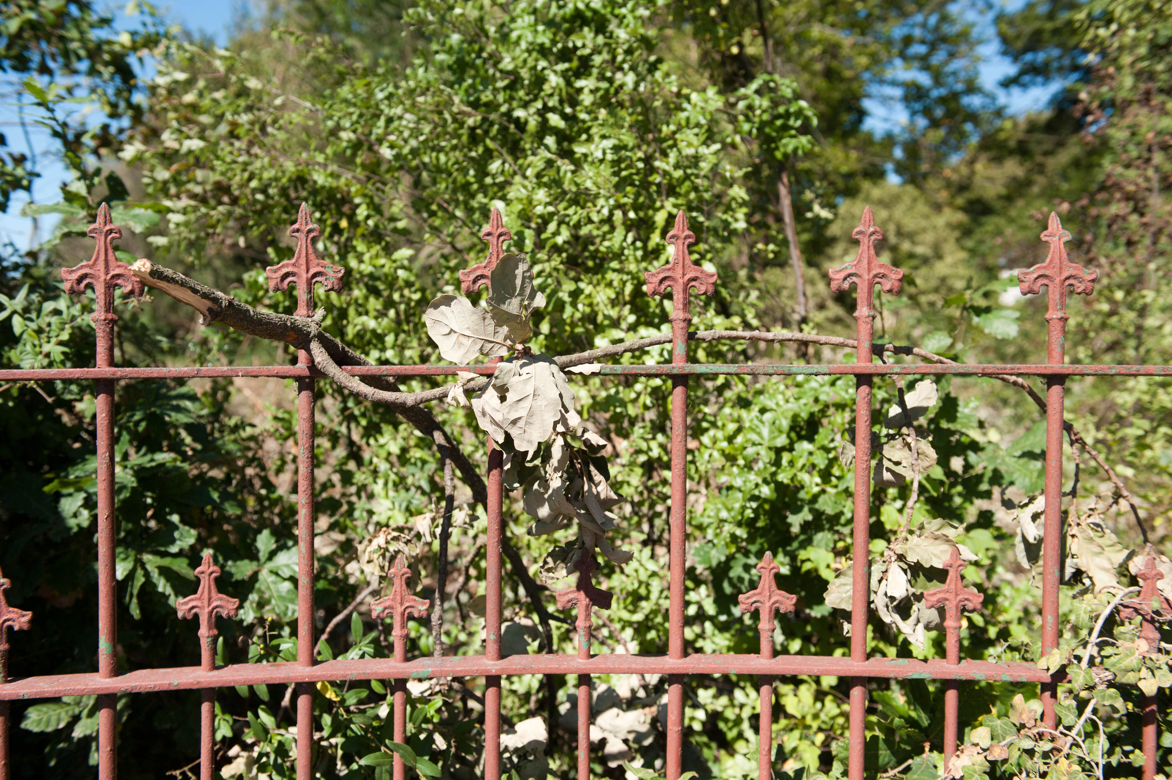 Hilgendorf Redevelopment 211