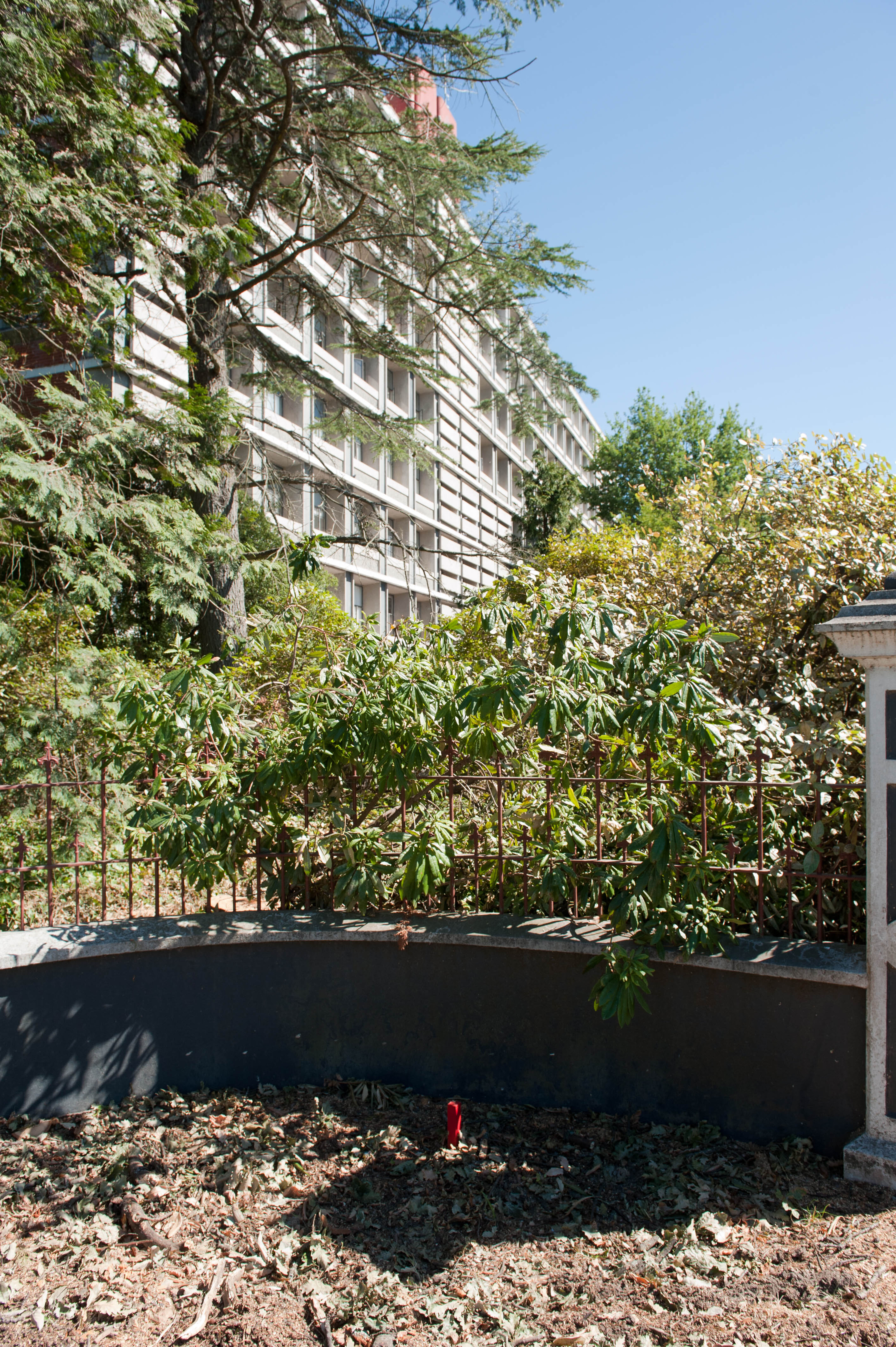 Hilgendorf Redevelopment 213