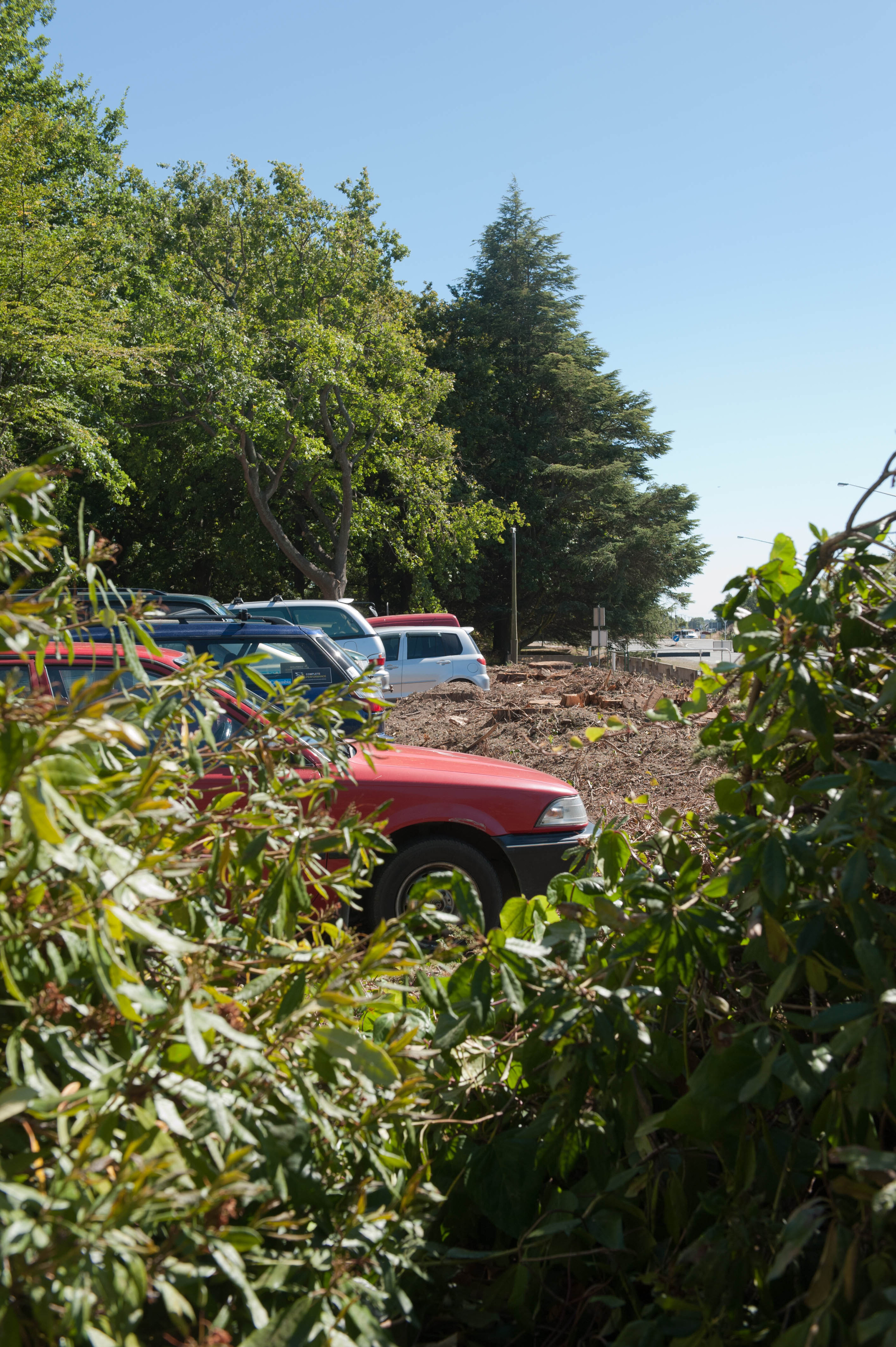 Hilgendorf Redevelopment 214