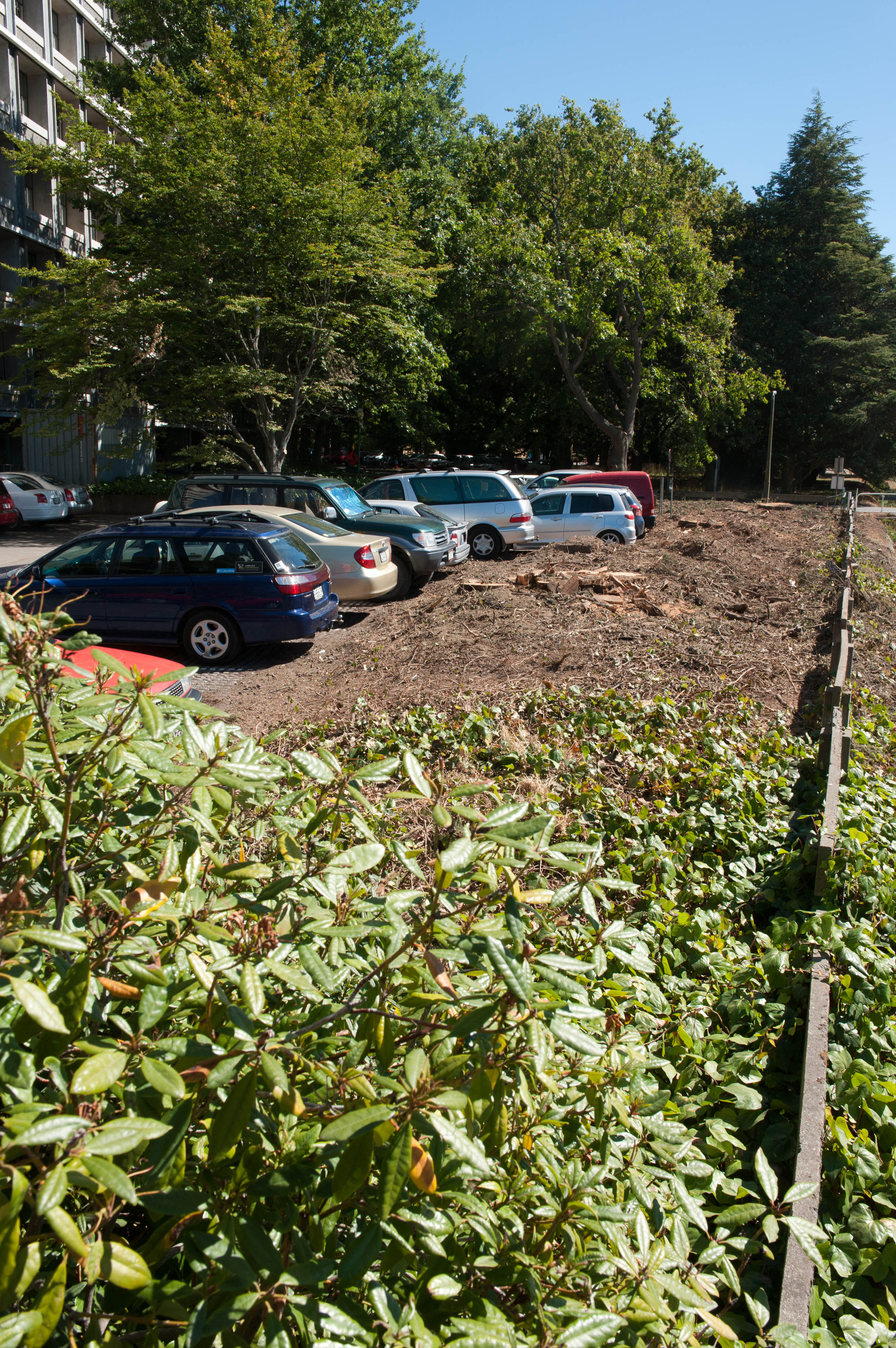 Hilgendorf Redevelopment 217