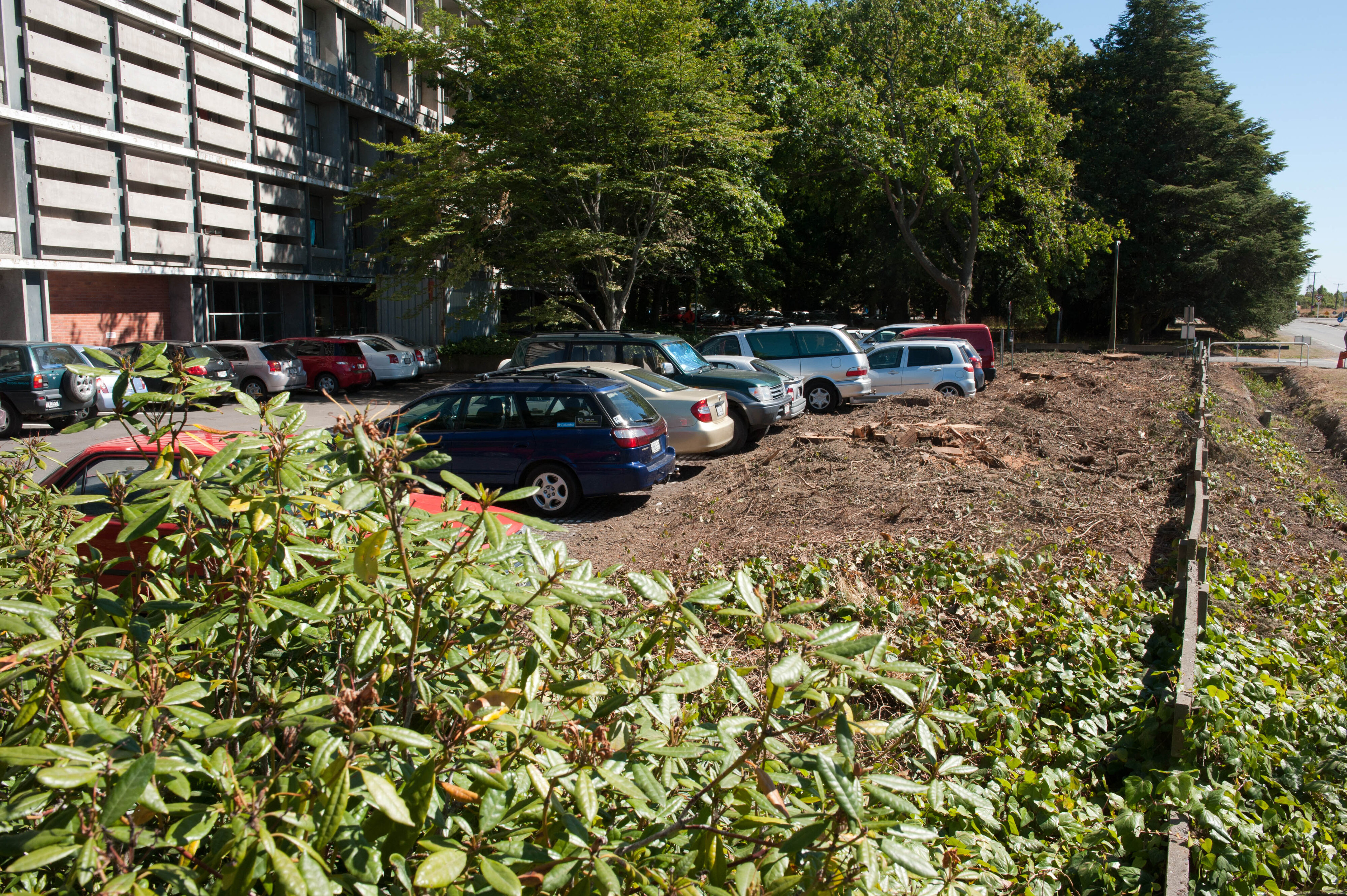 Hilgendorf Redevelopment 218