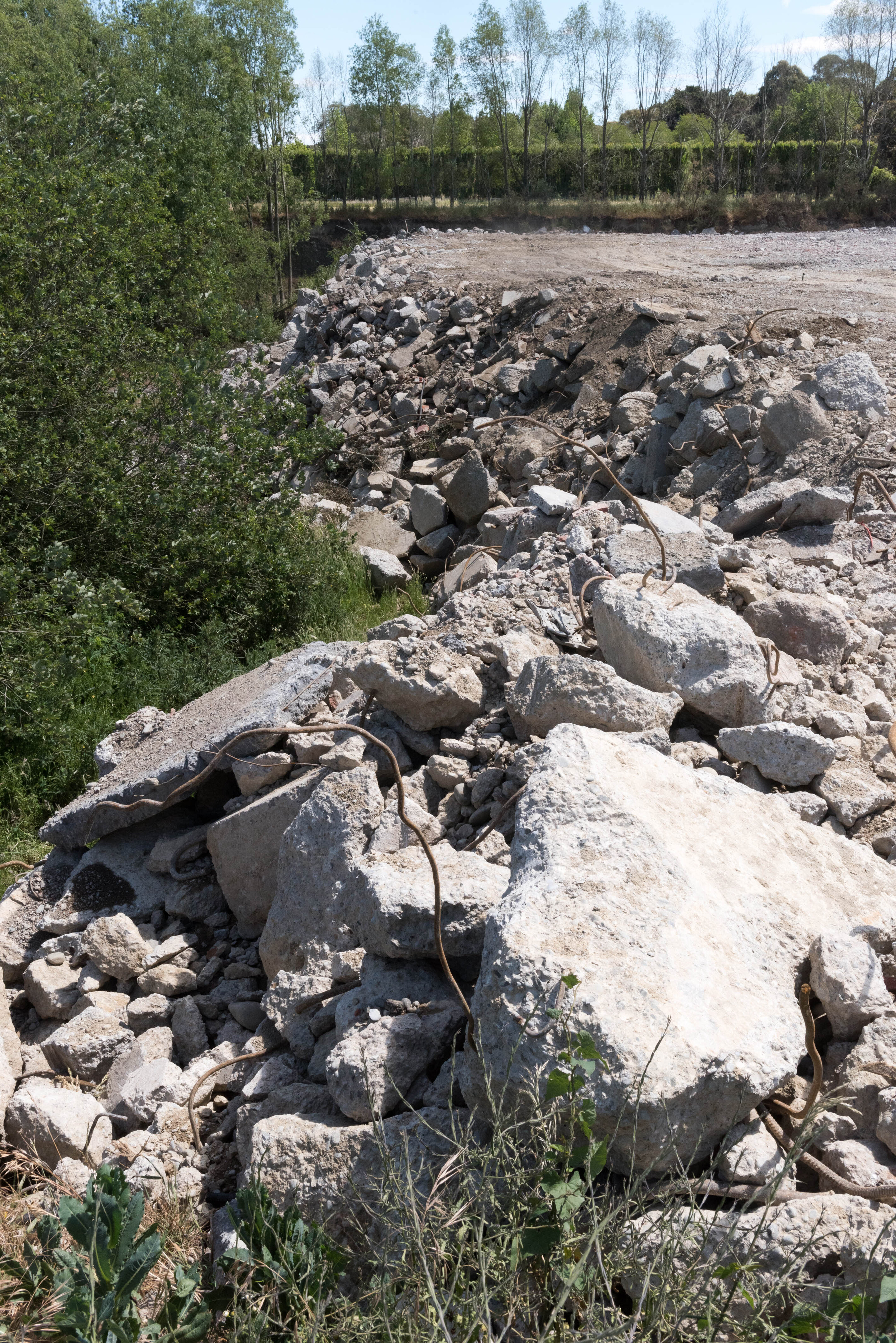 Hilgendorf Redevelopment 223