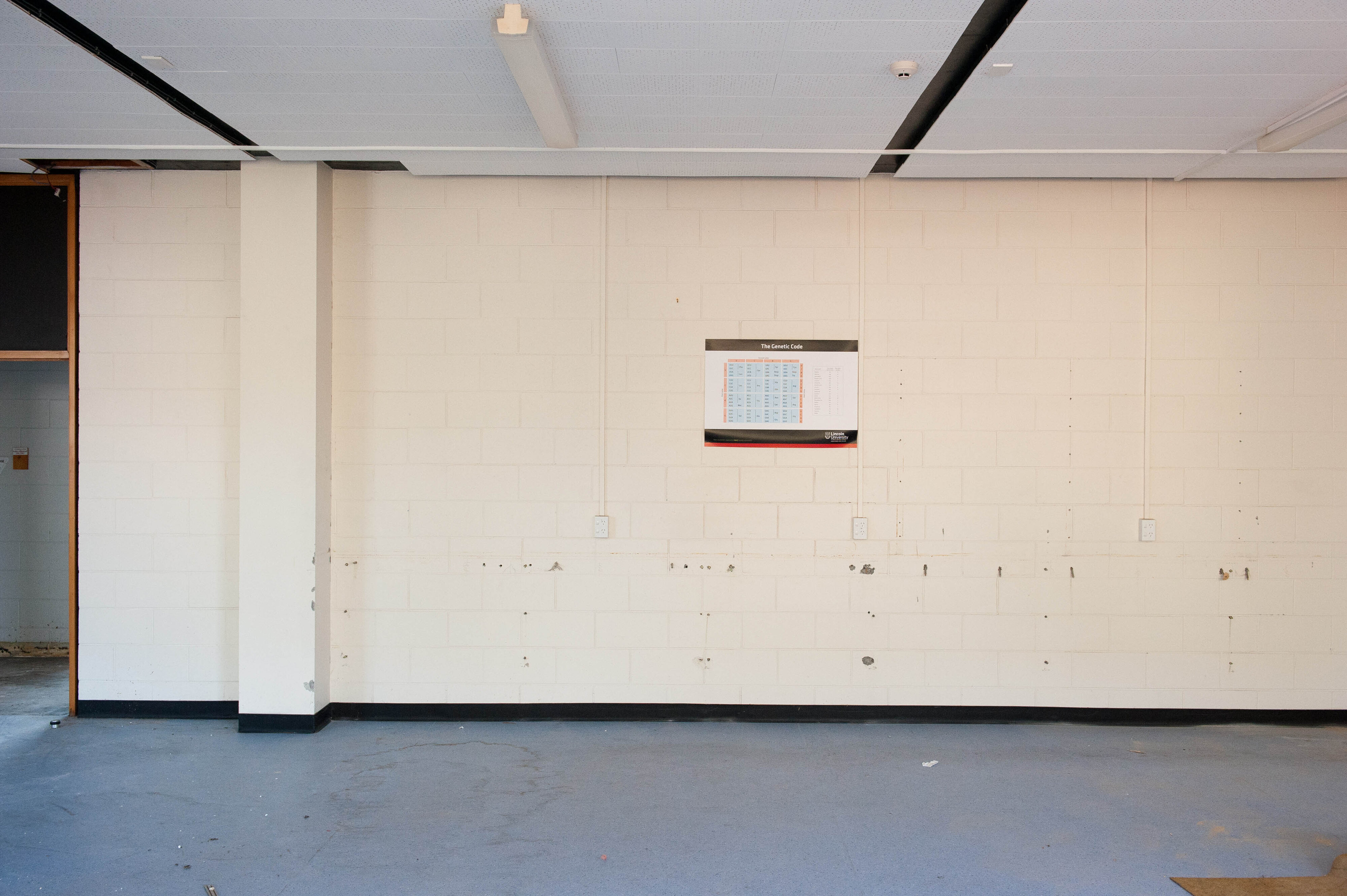 Hilgendorf Redevelopment 262