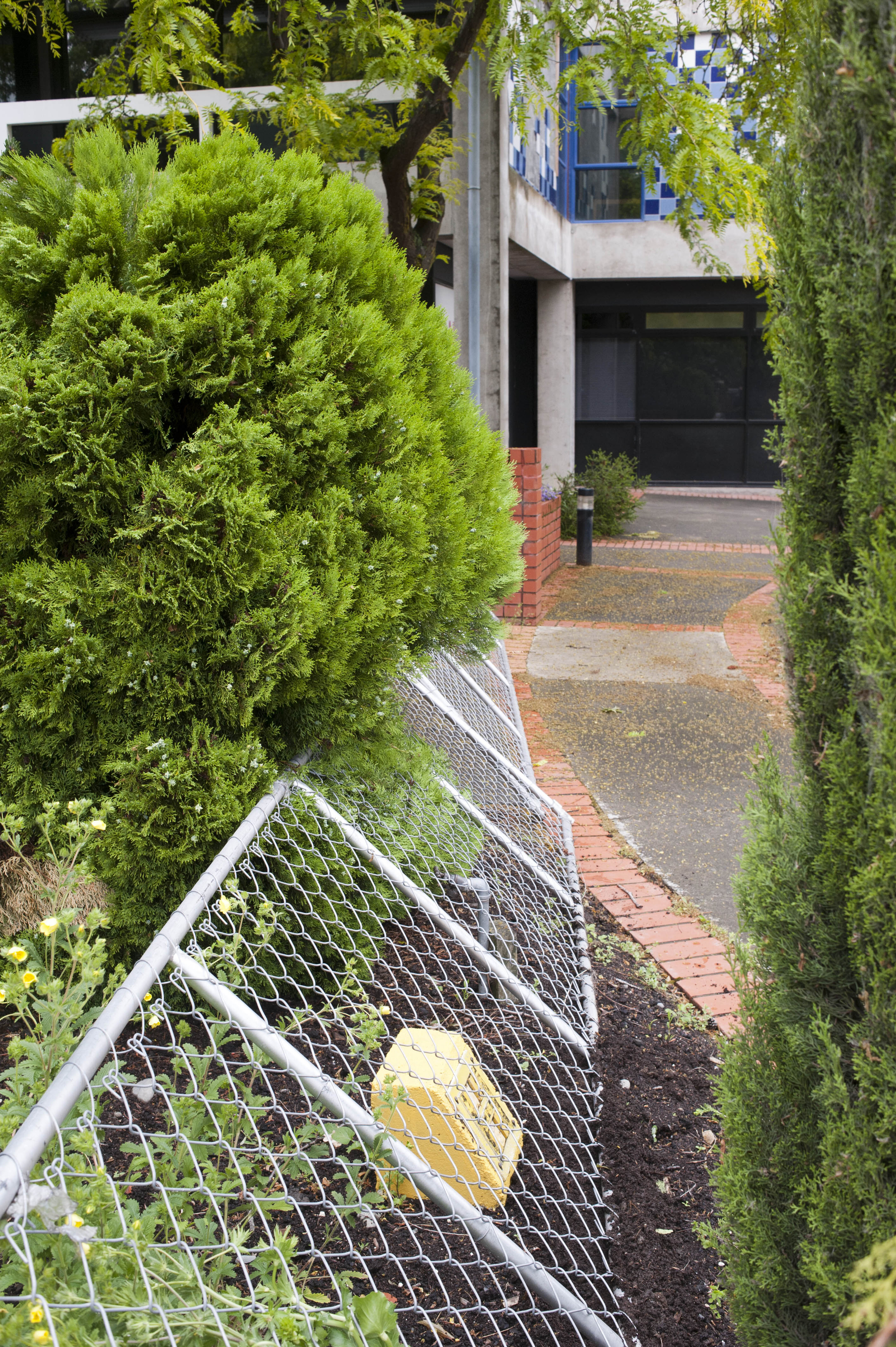 Hilgendorf Redevelopment 332