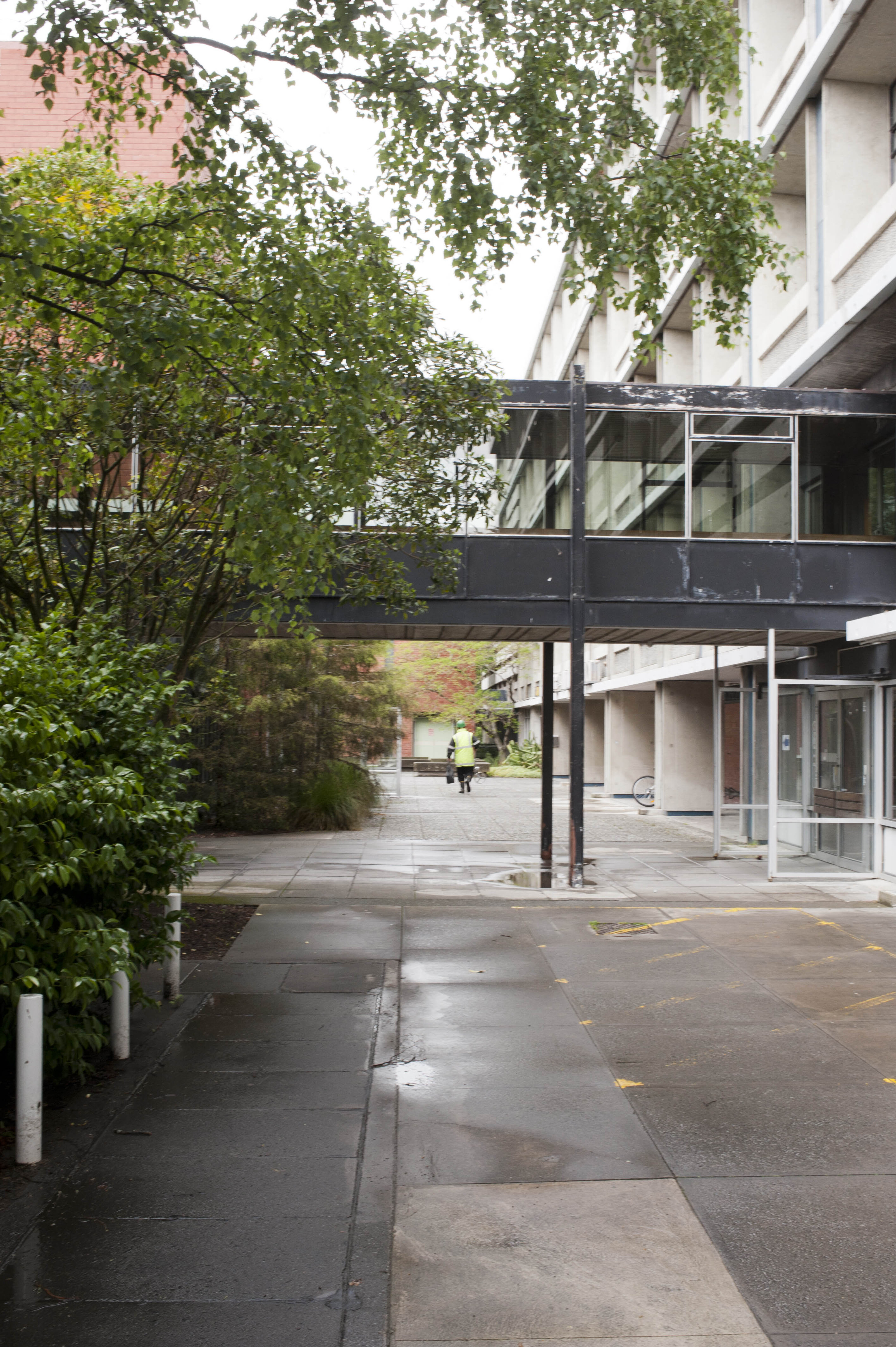 Hilgendorf Redevelopment 337