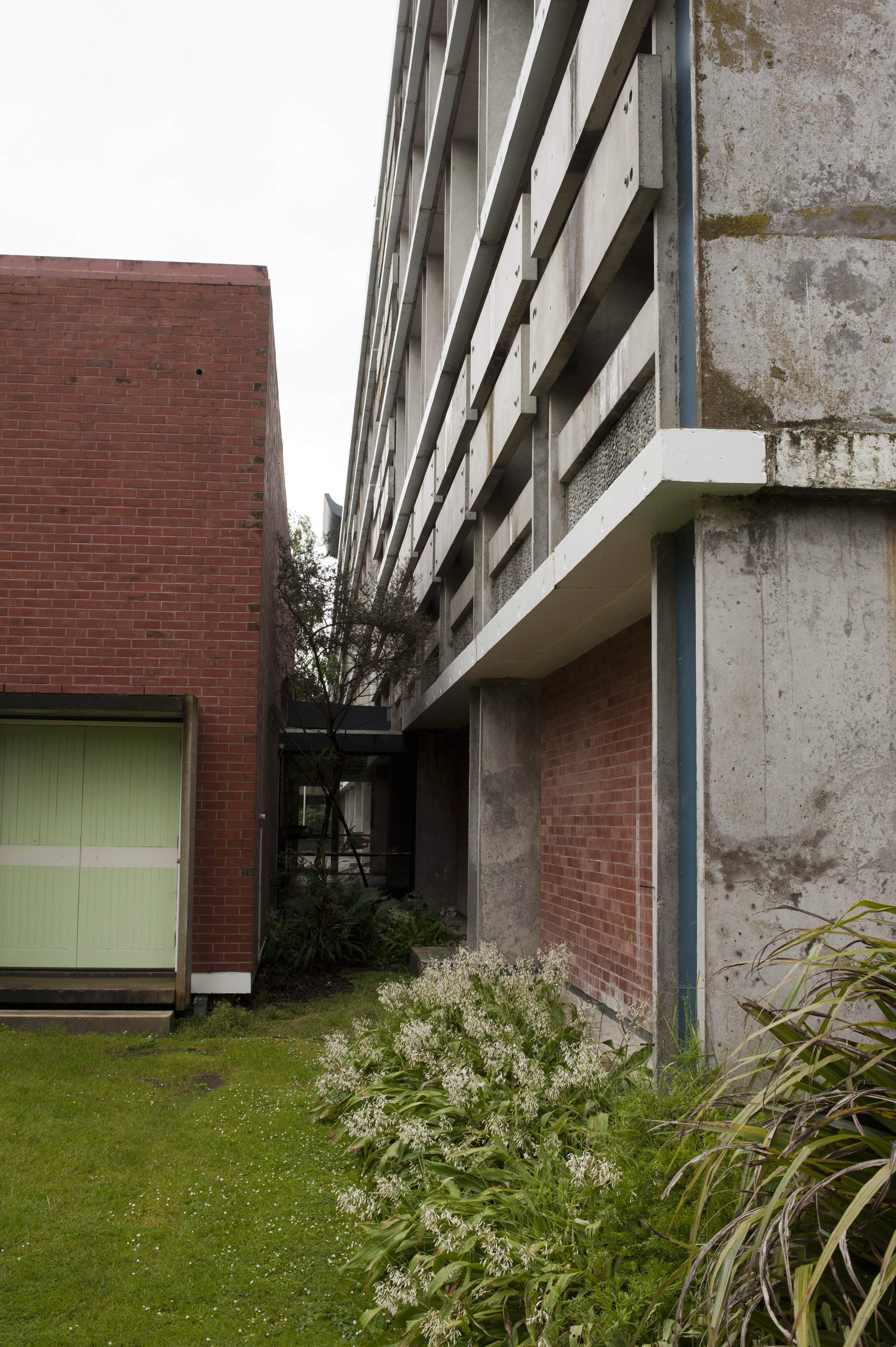 Hilgendorf Redevelopment 342