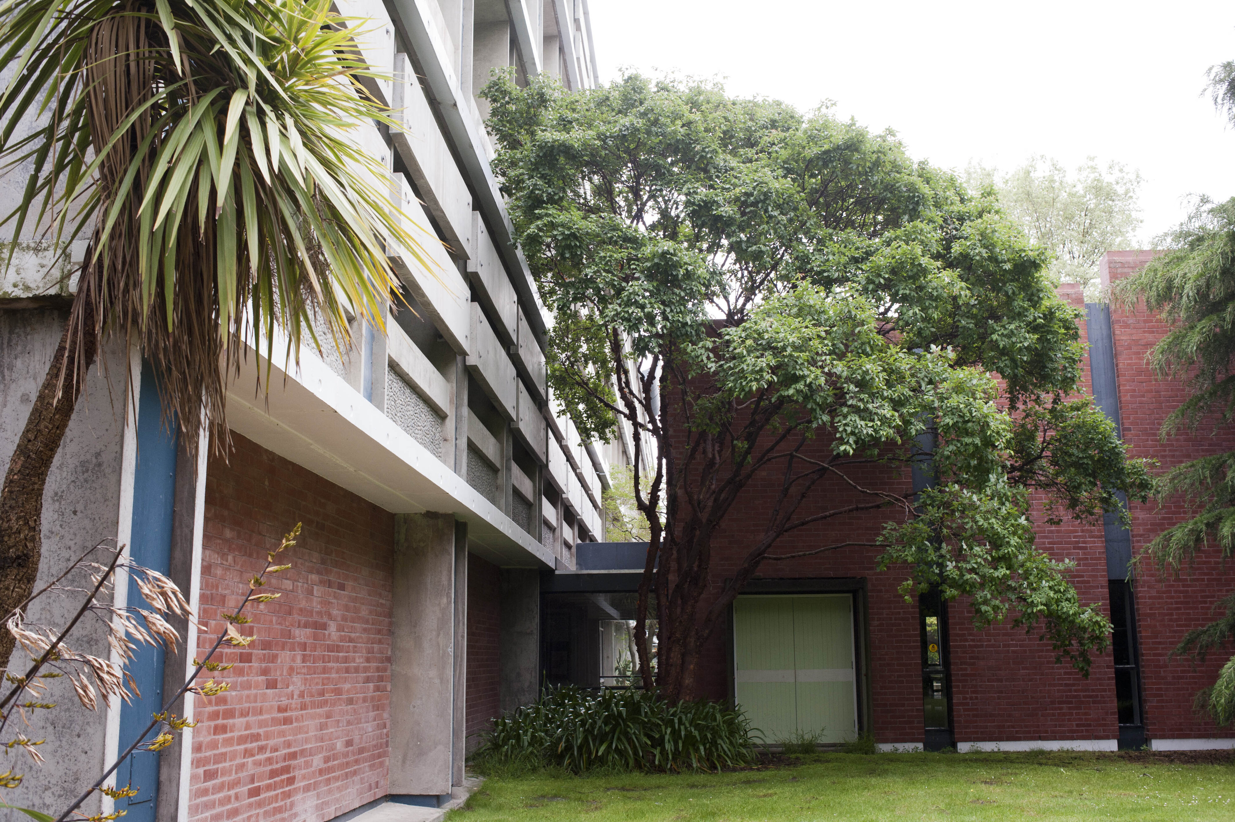 Hilgendorf Redevelopment 343