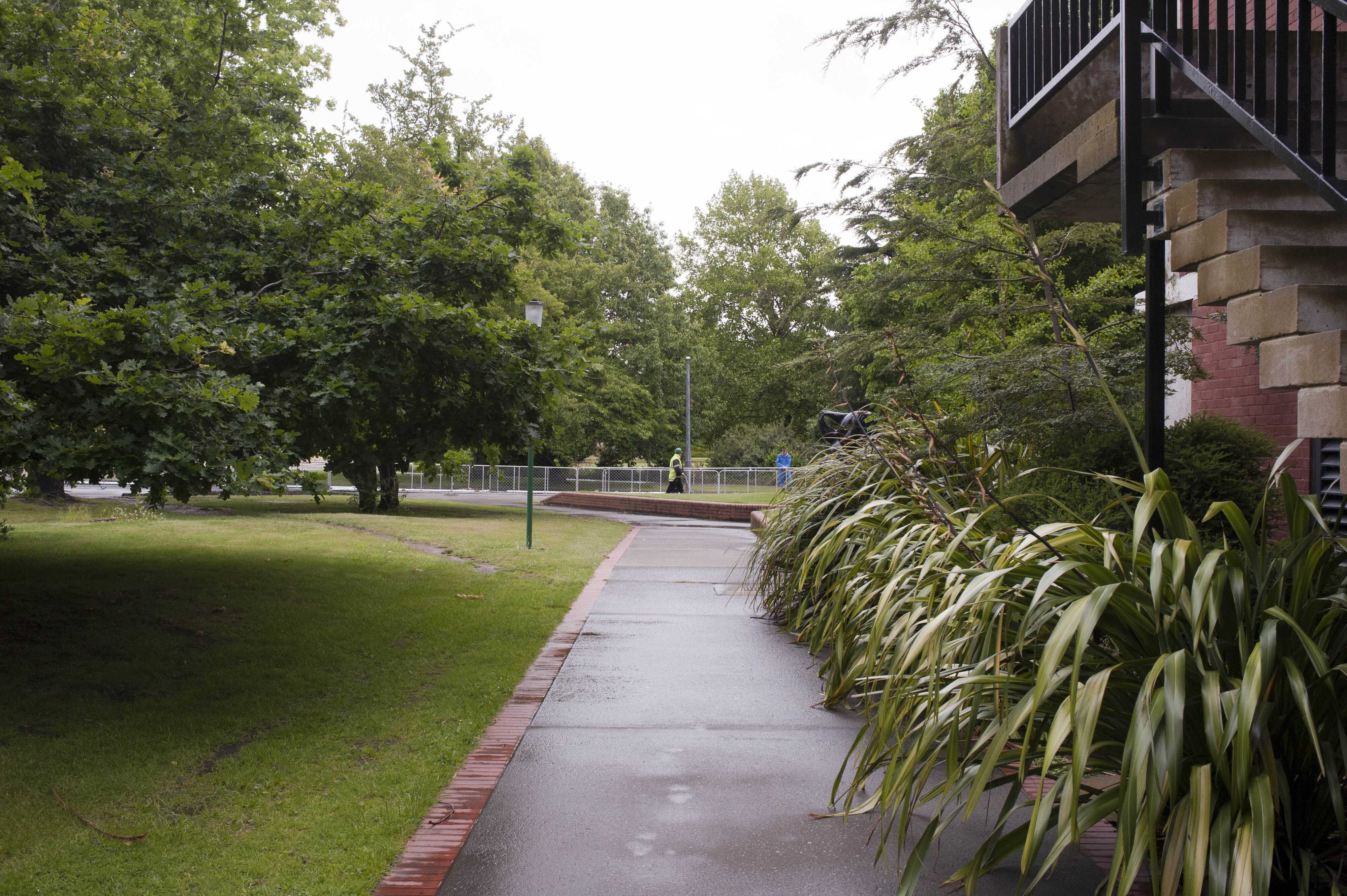 Hilgendorf Redevelopment 344