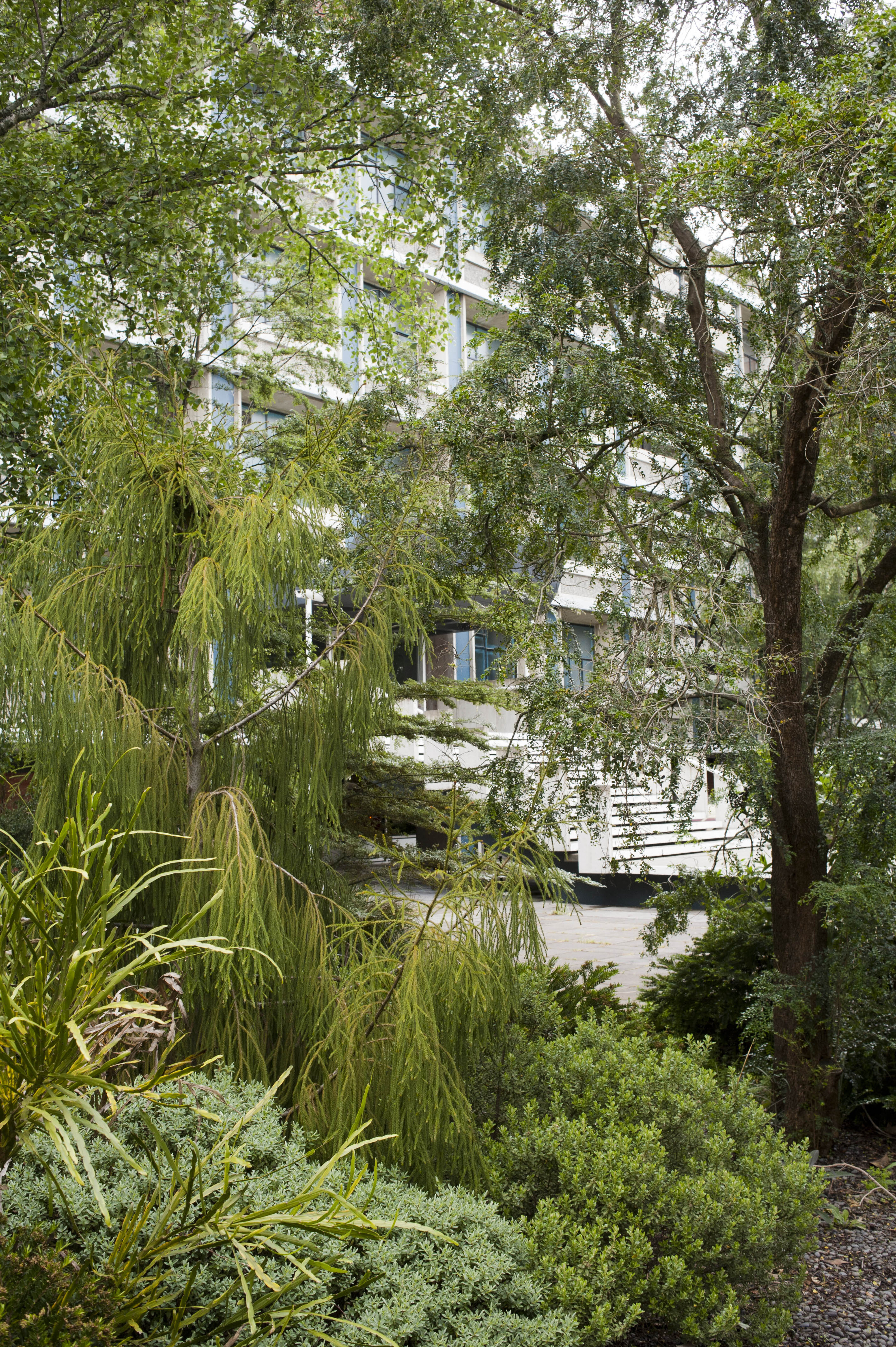 Hilgendorf Redevelopment 354