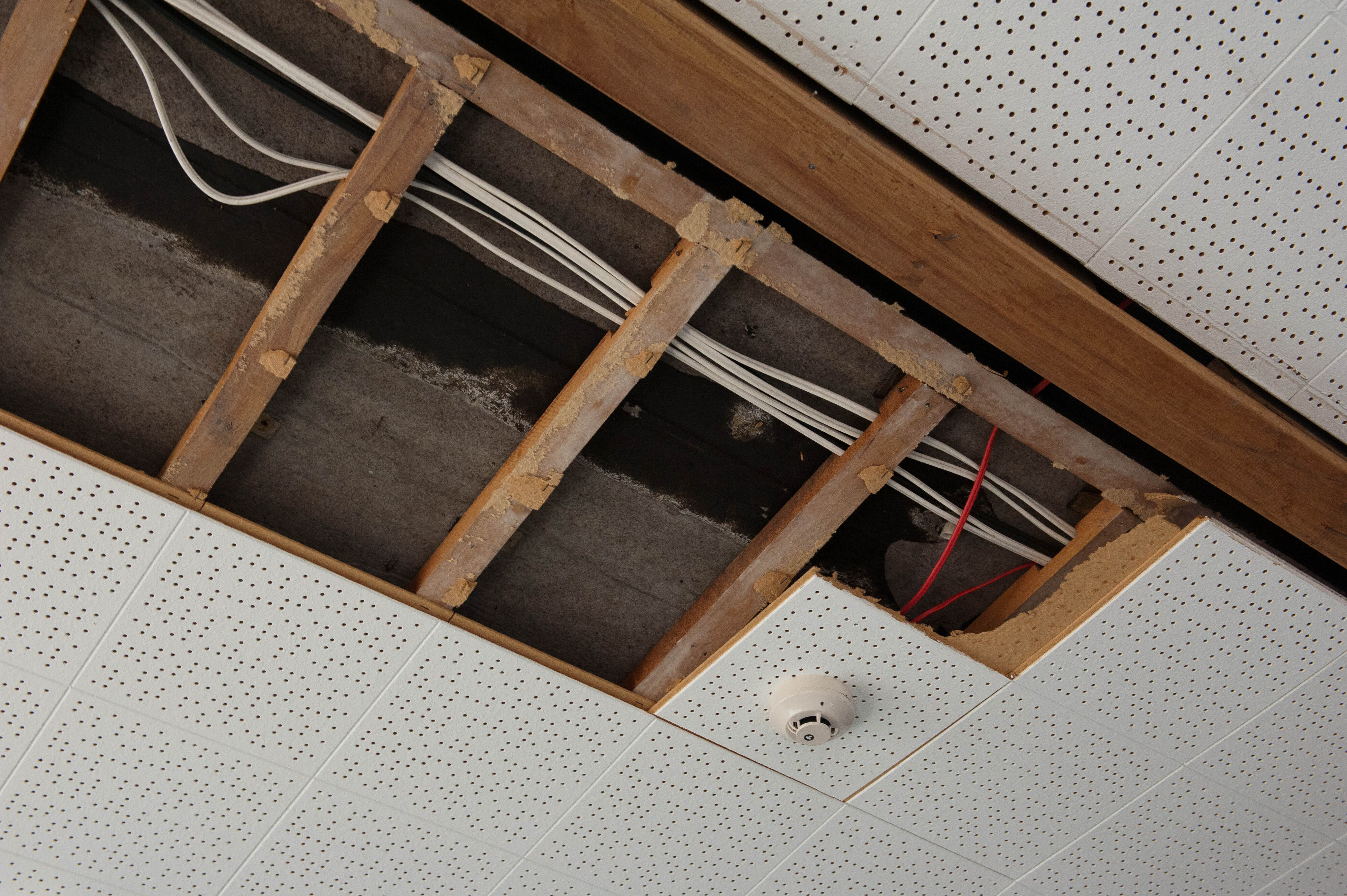 Hilgendorf Redevelopment 418